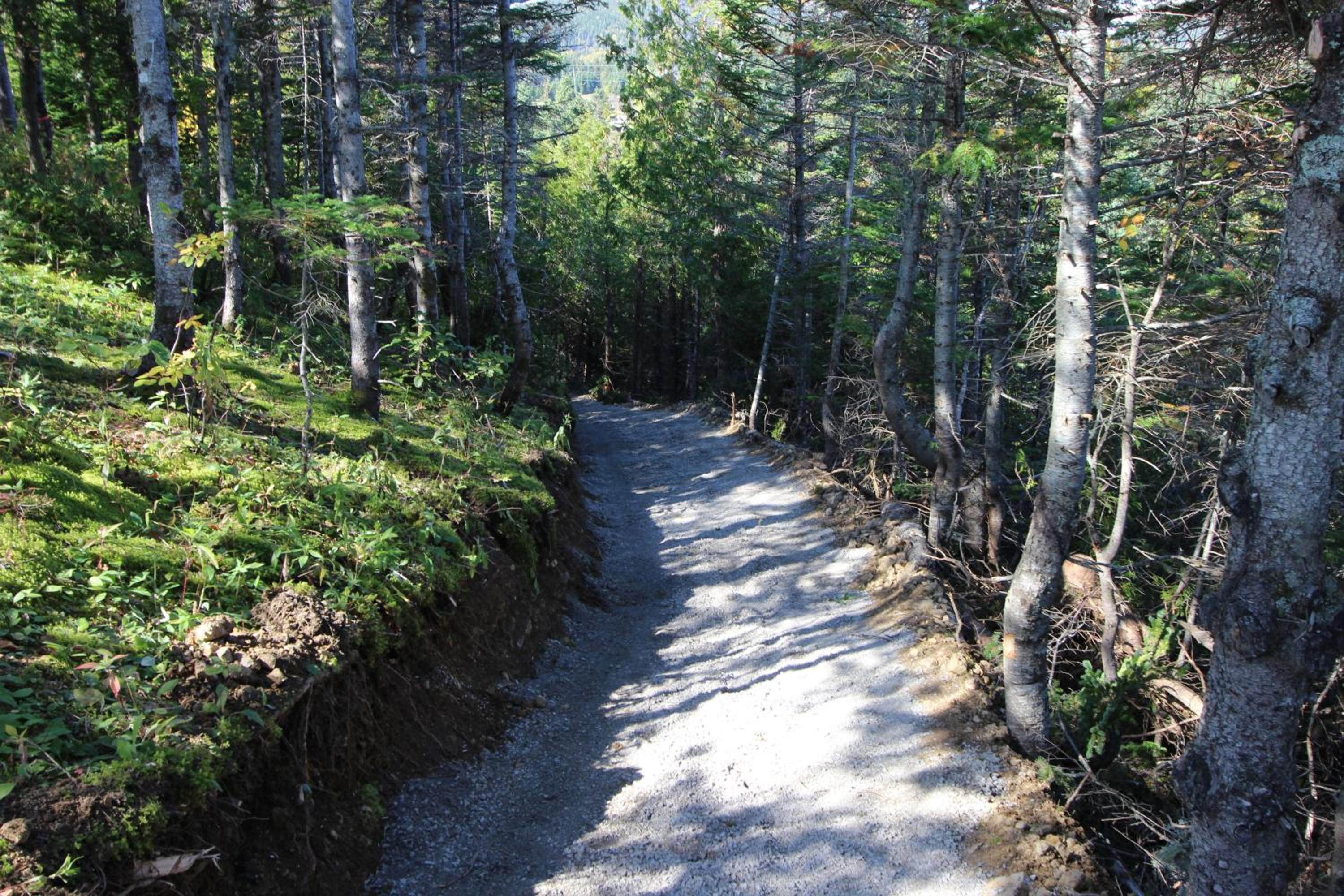 Chalets Nature Océan
