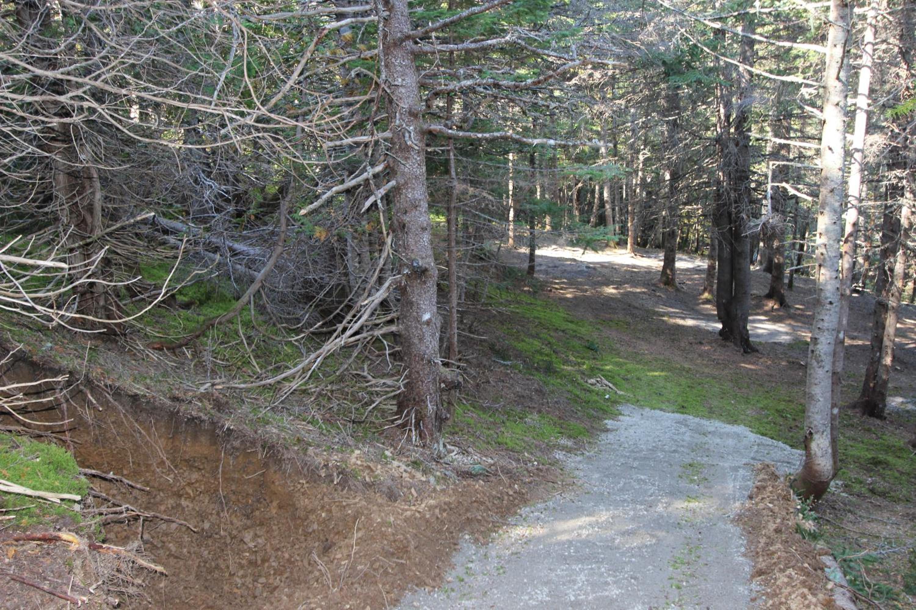Chalets Nature Océan