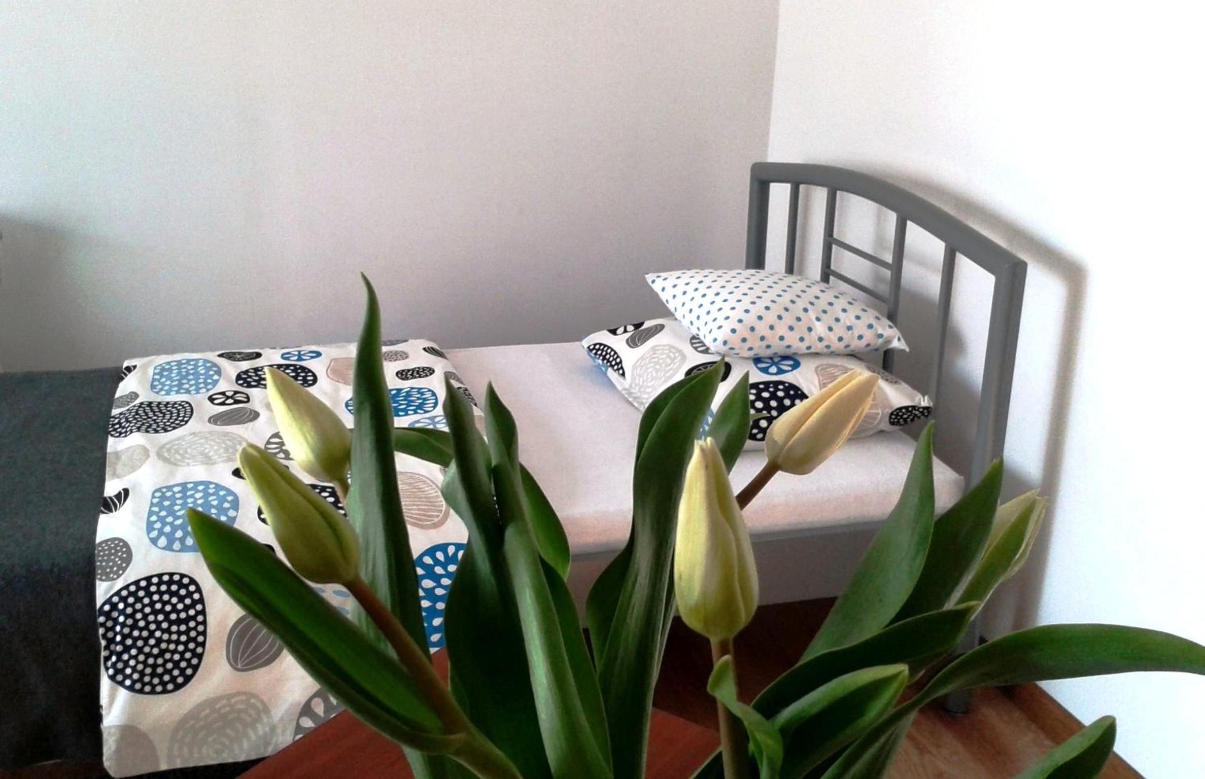 Photo 32