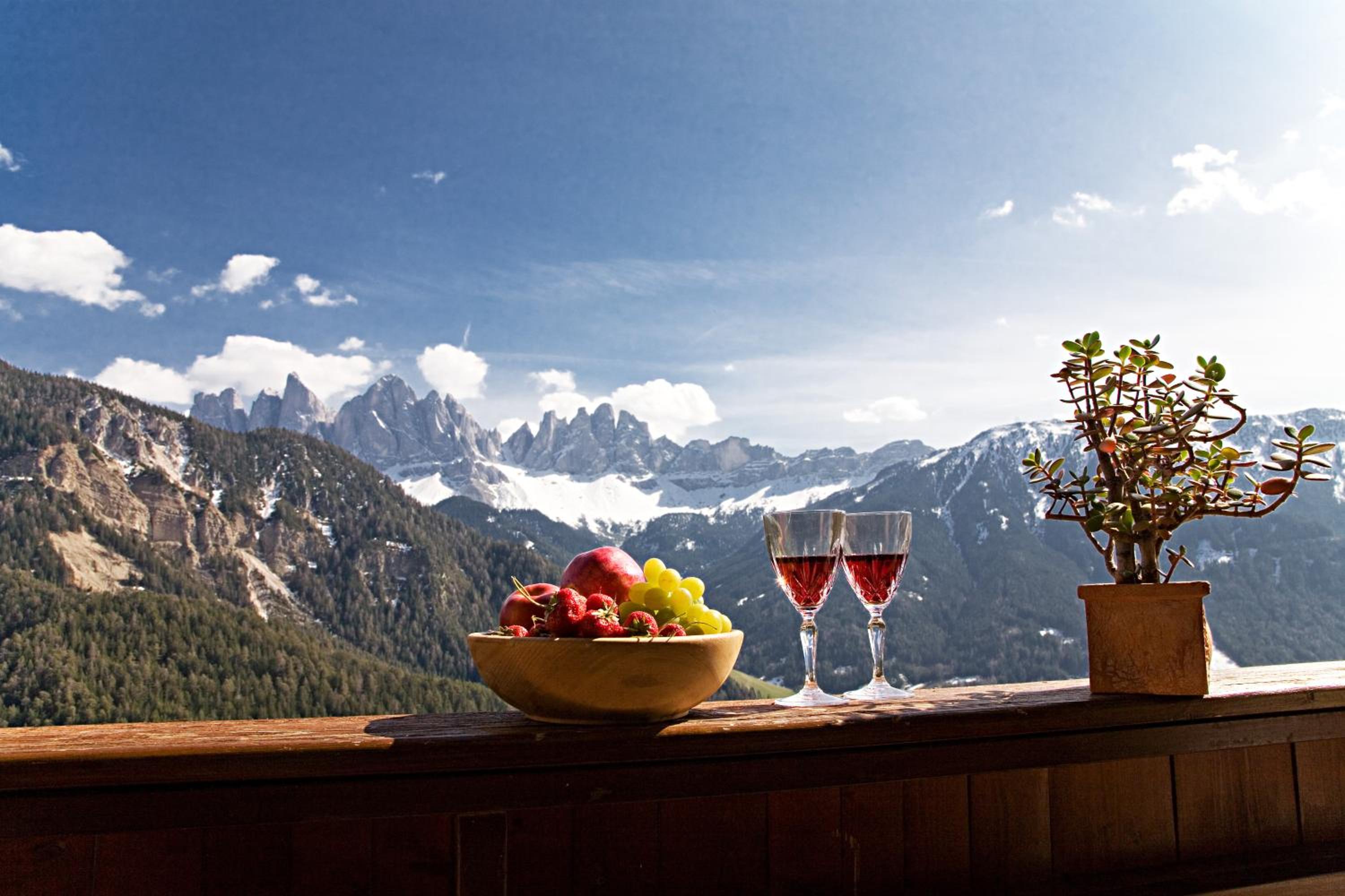 Schopplhof - panoramic apartments dolomites