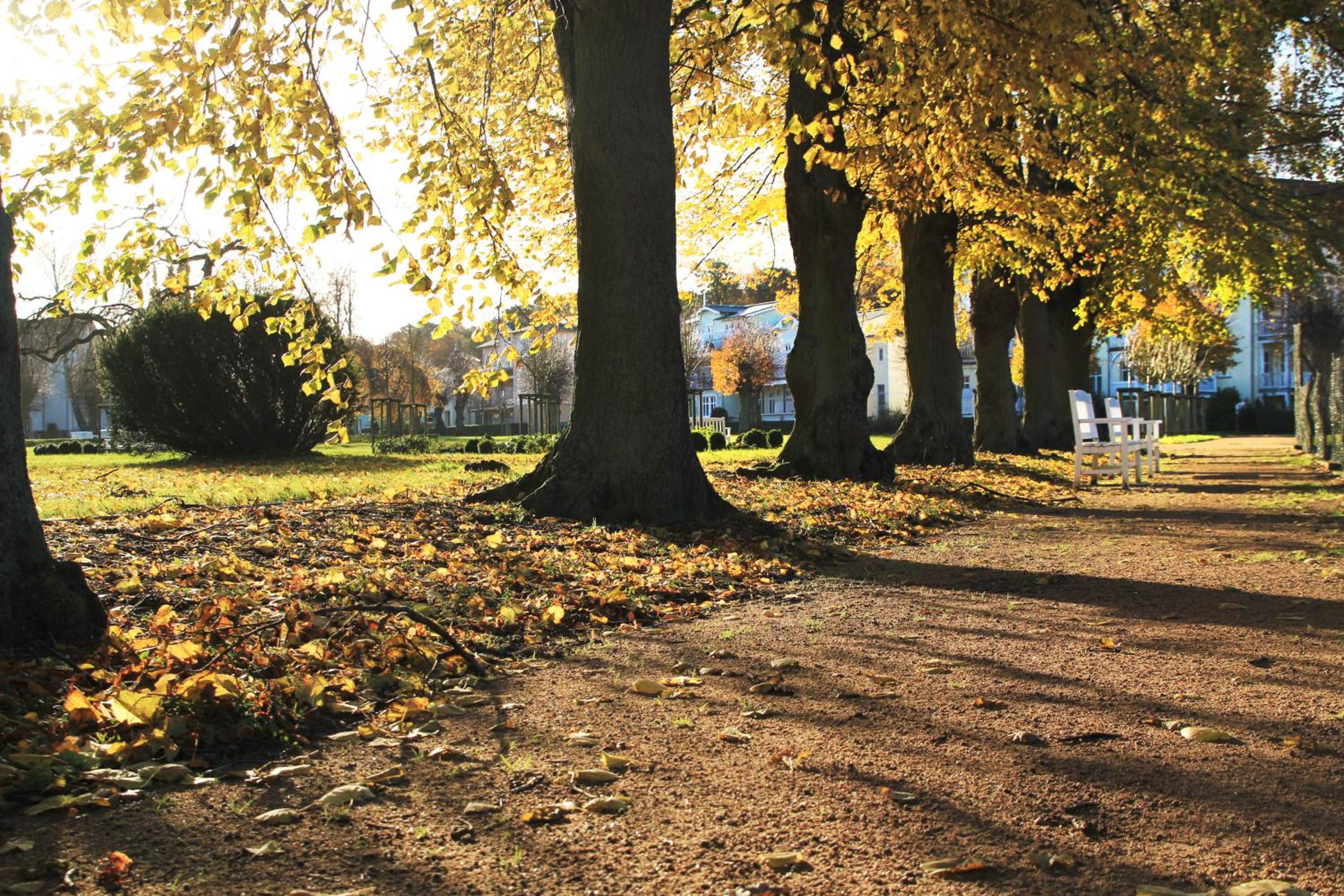 Auszeit am Lindenpark