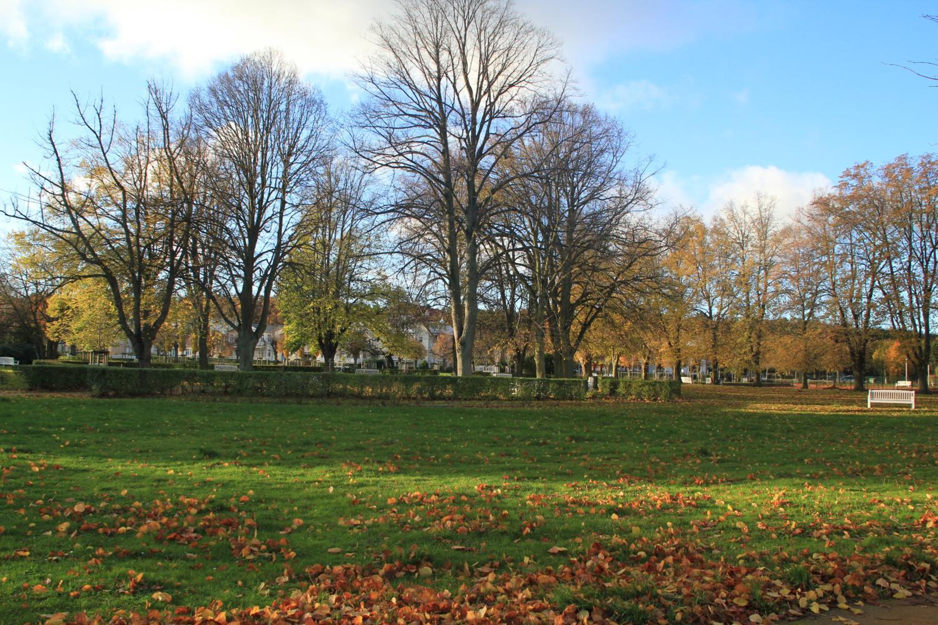 Auszeit am Lindenpark