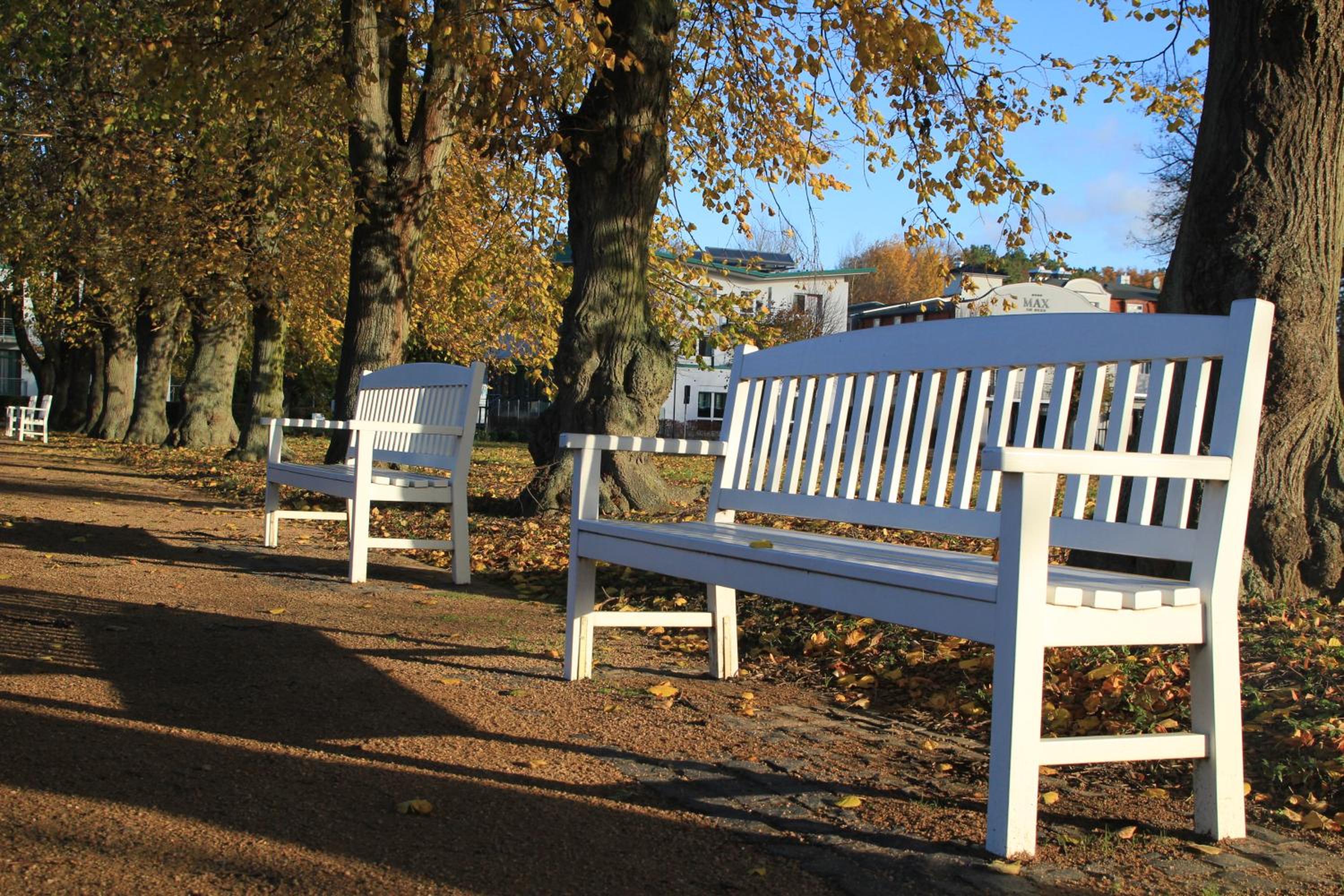 Auszeit am Lindenpark
