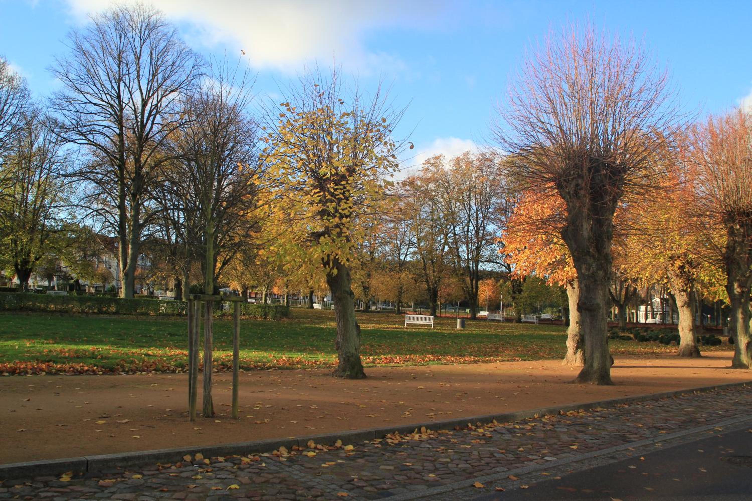 Auszeit am Lindenpark