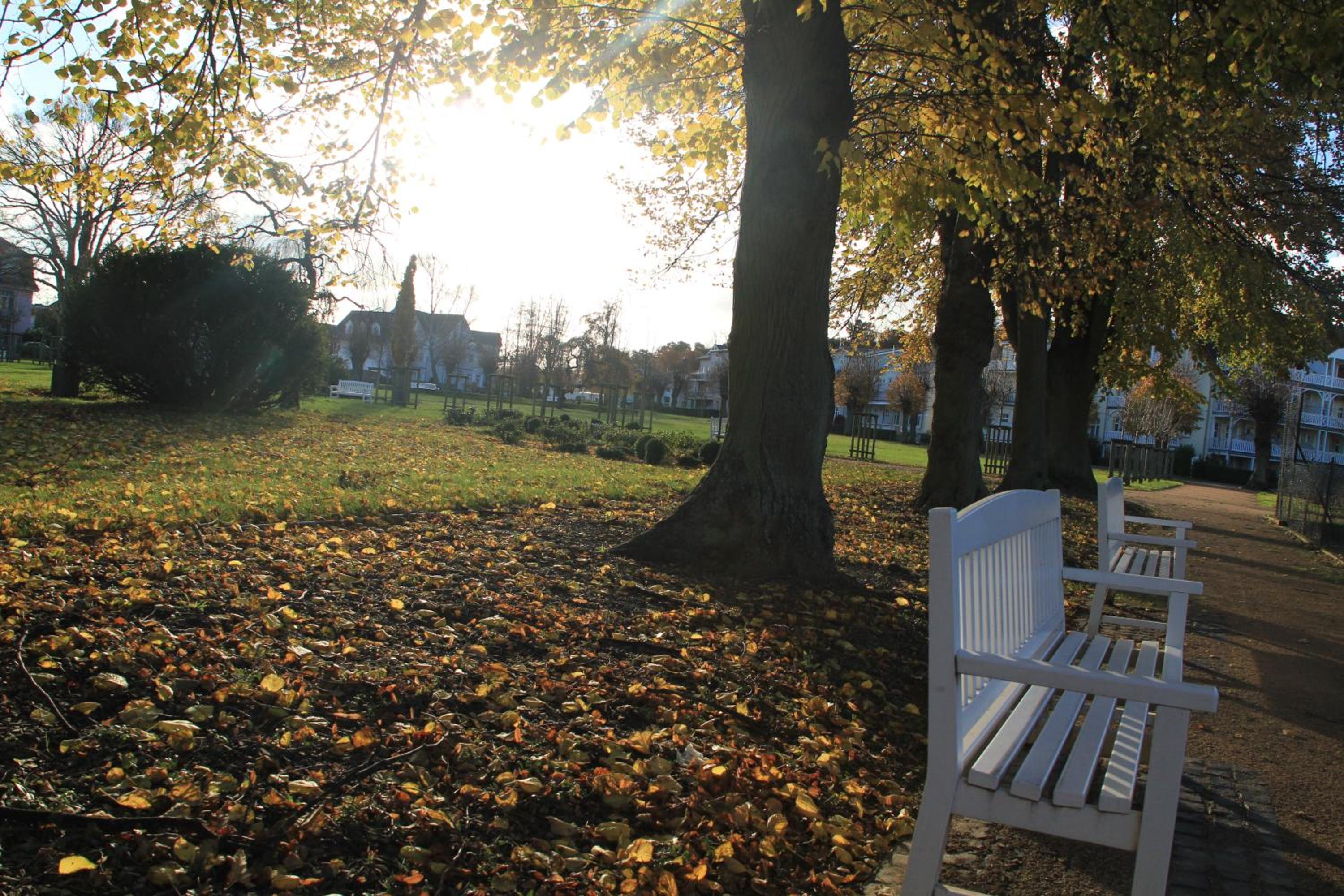 Auszeit am Lindenpark