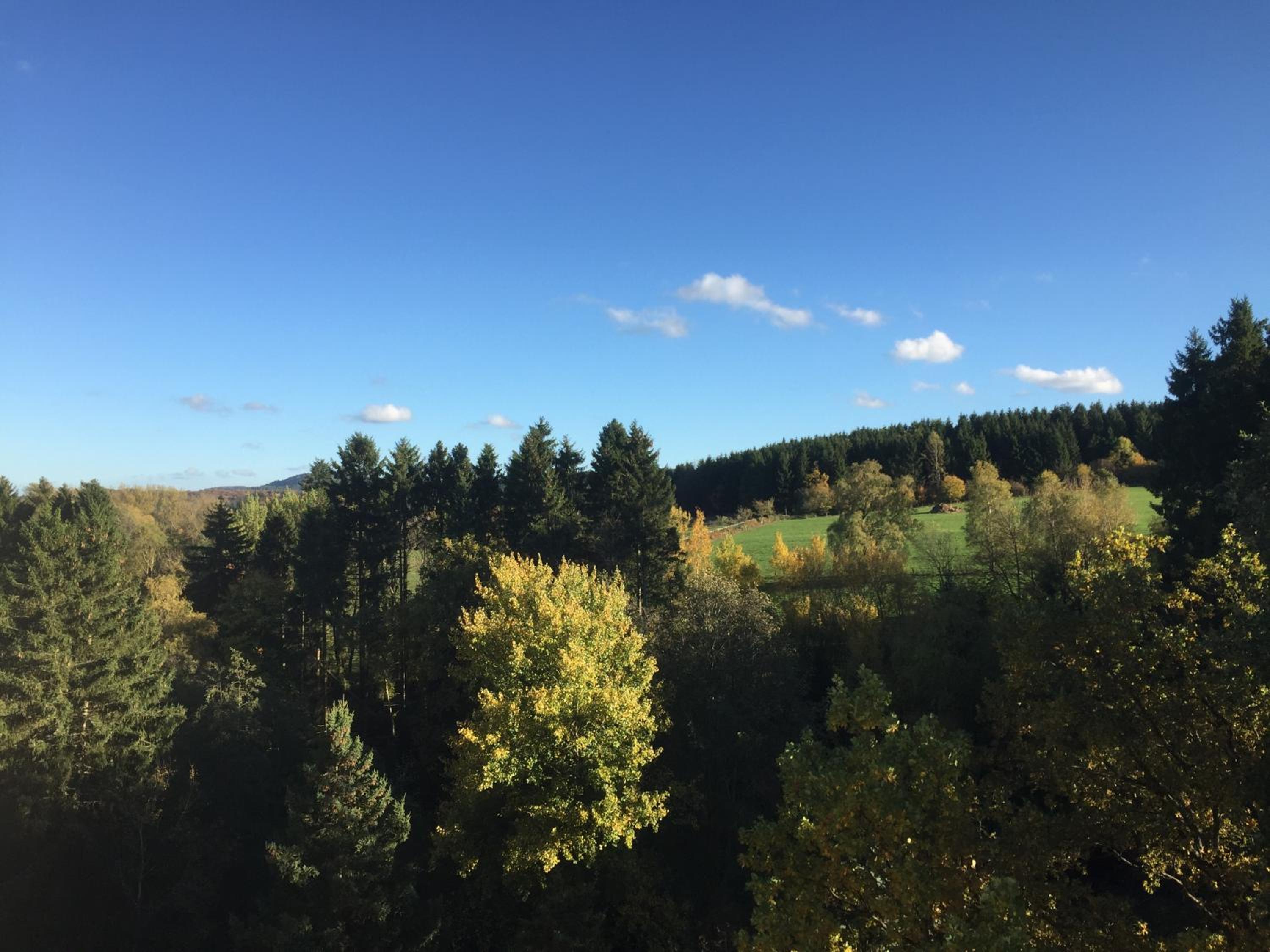 Comfort-Apartment view 5