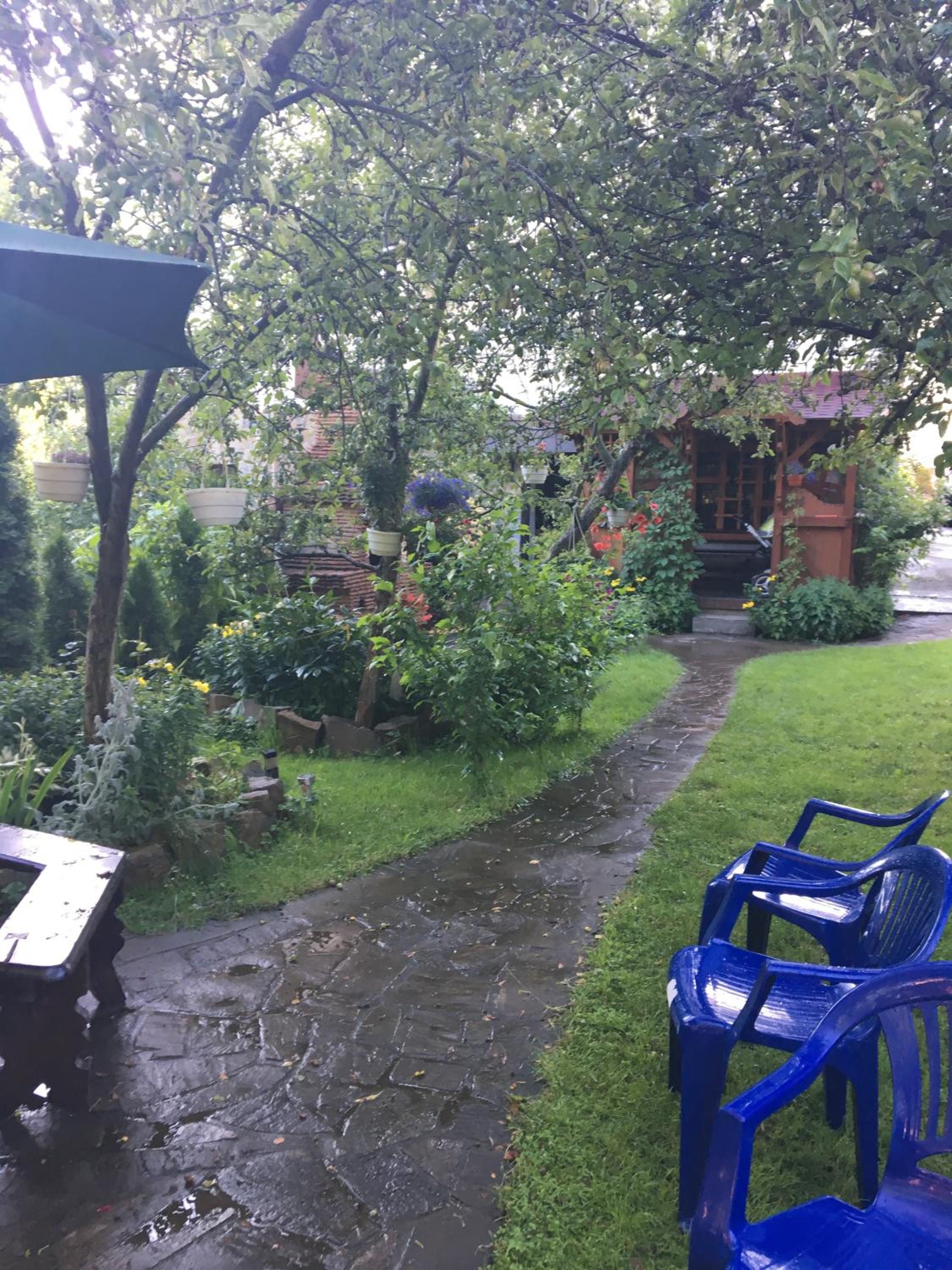 Photo 43
