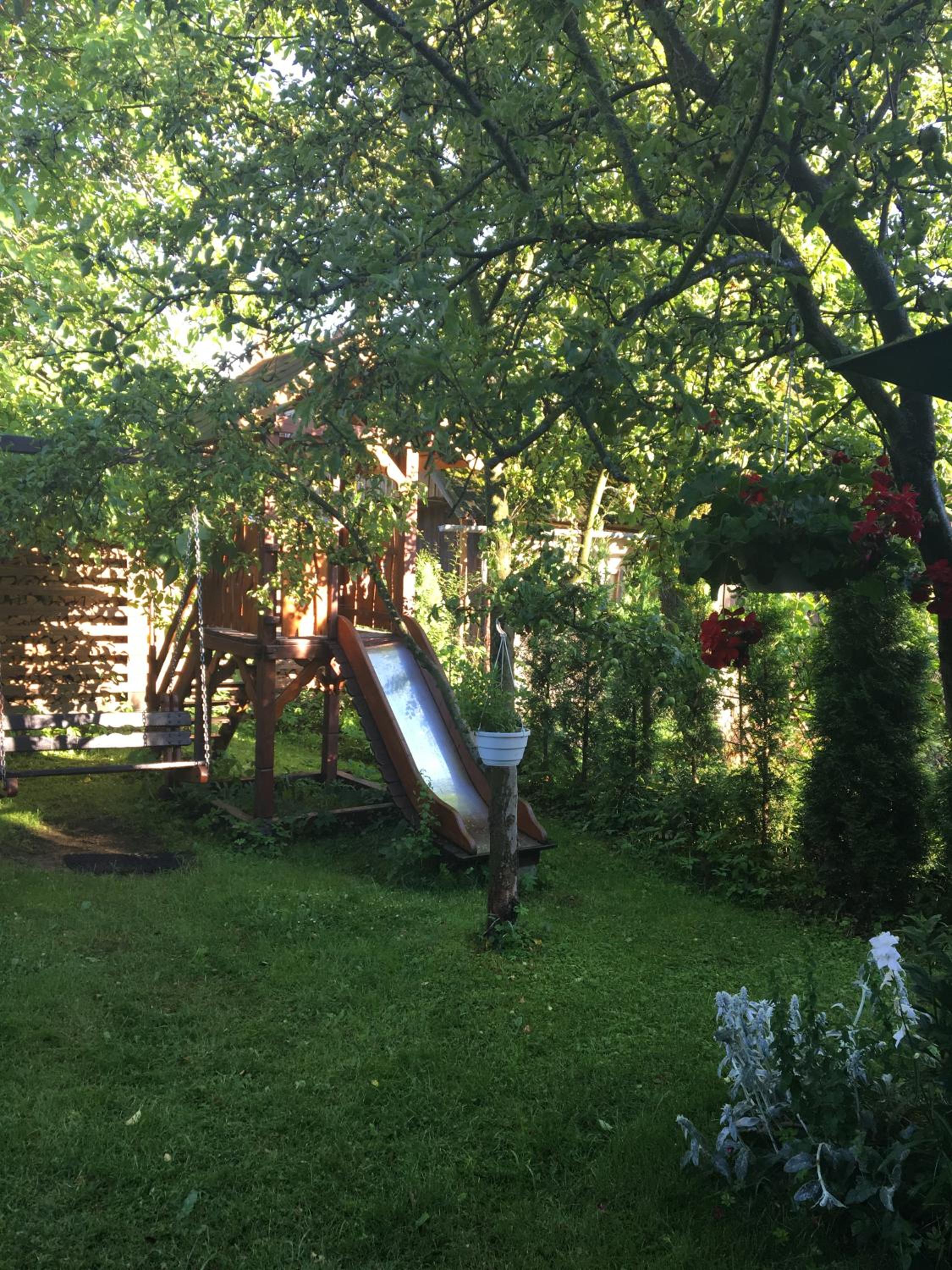 Photo 46