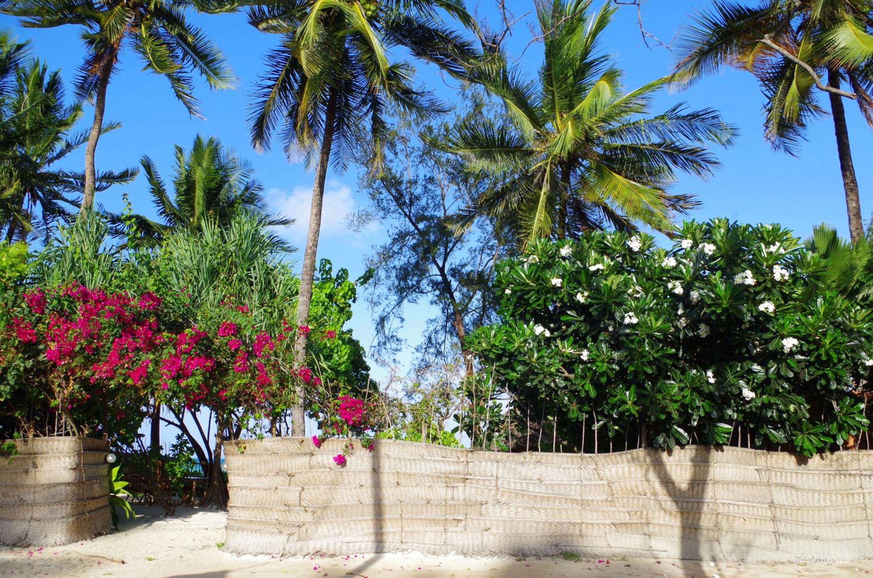Kimte Beach Lodge
