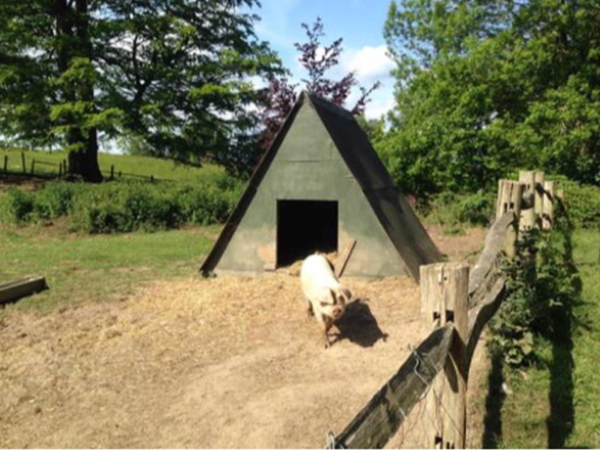 Danny Lodge - Country Cottage Near Brighton by Huluki Sussex Stays, photo 30