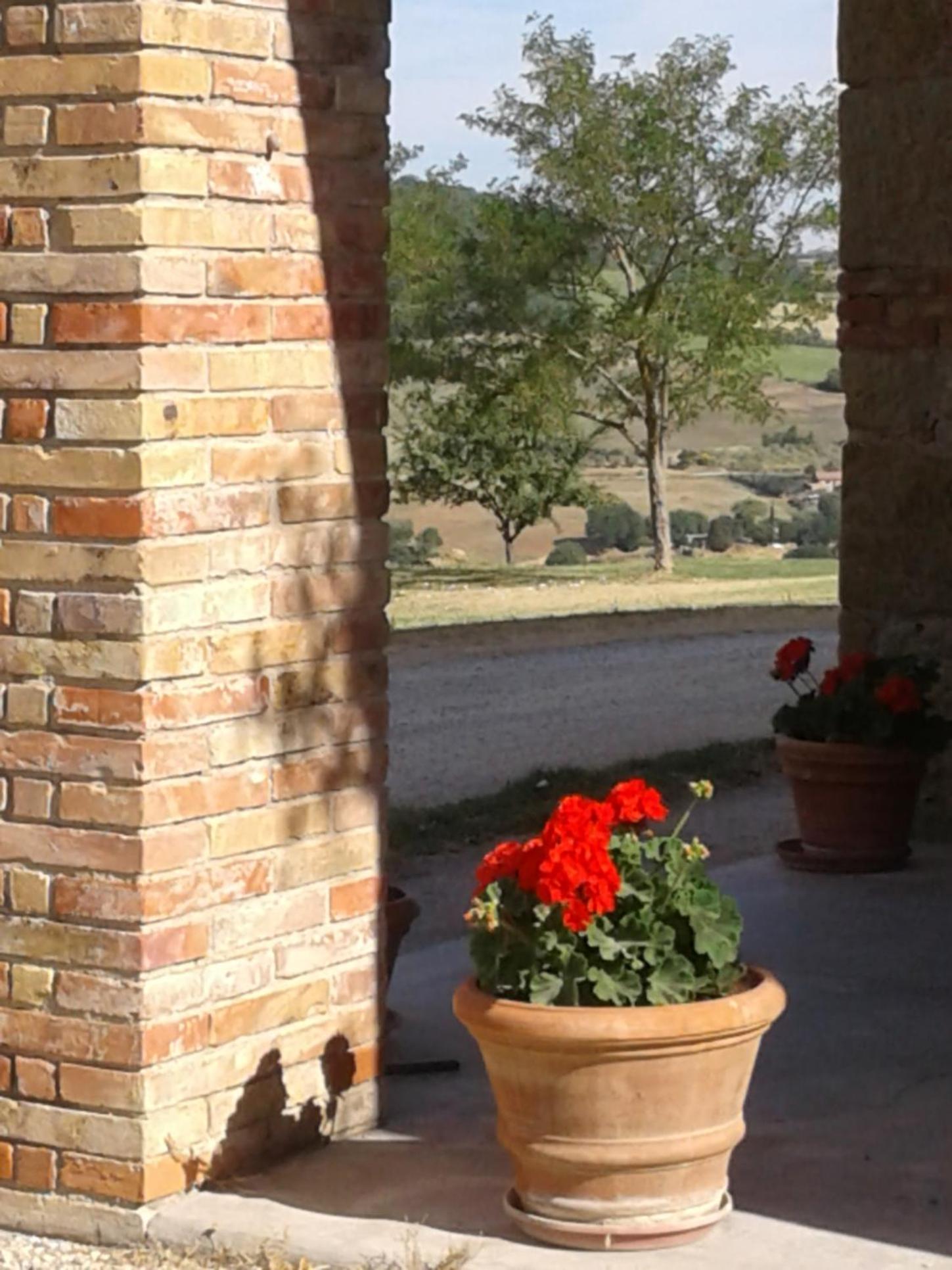 Photo 44