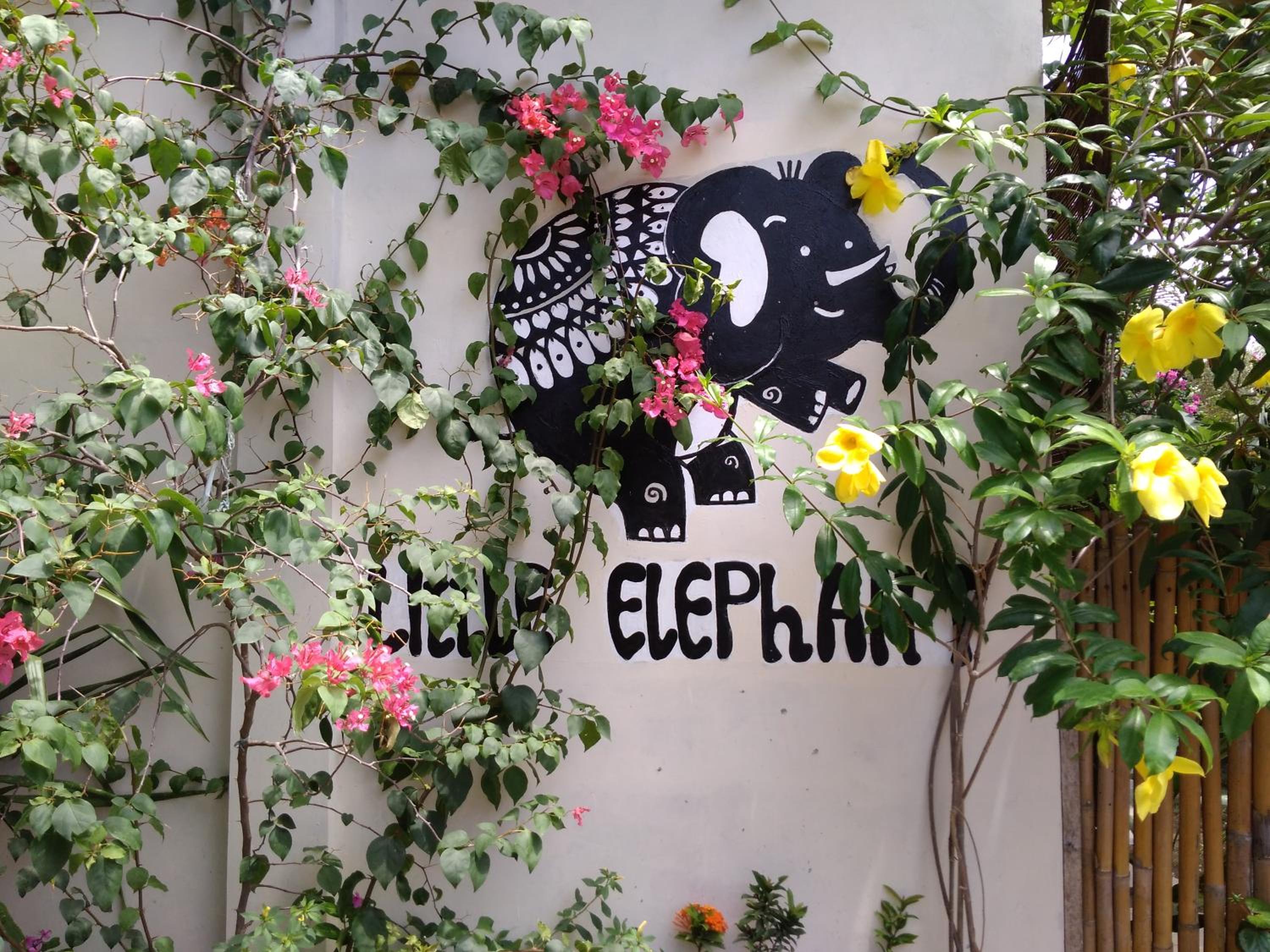 Little Elephant Cottage view 2