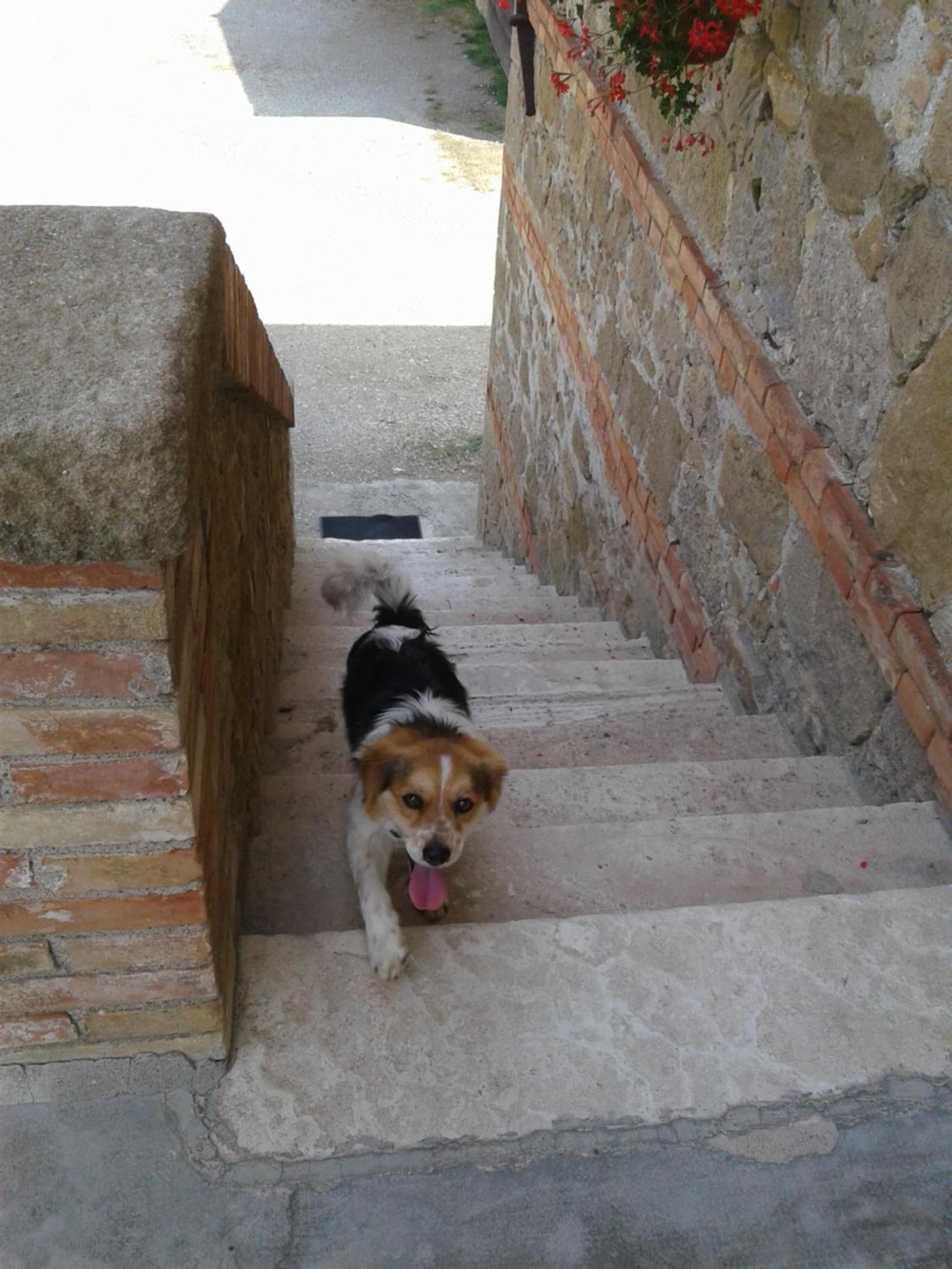 Photo 40