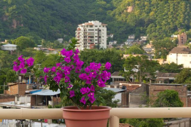 Oasis Hostel - Image 3