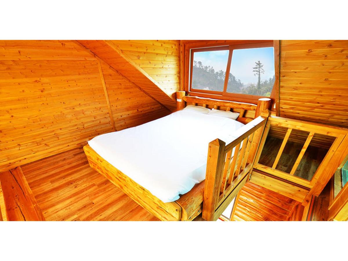 Attene Pension