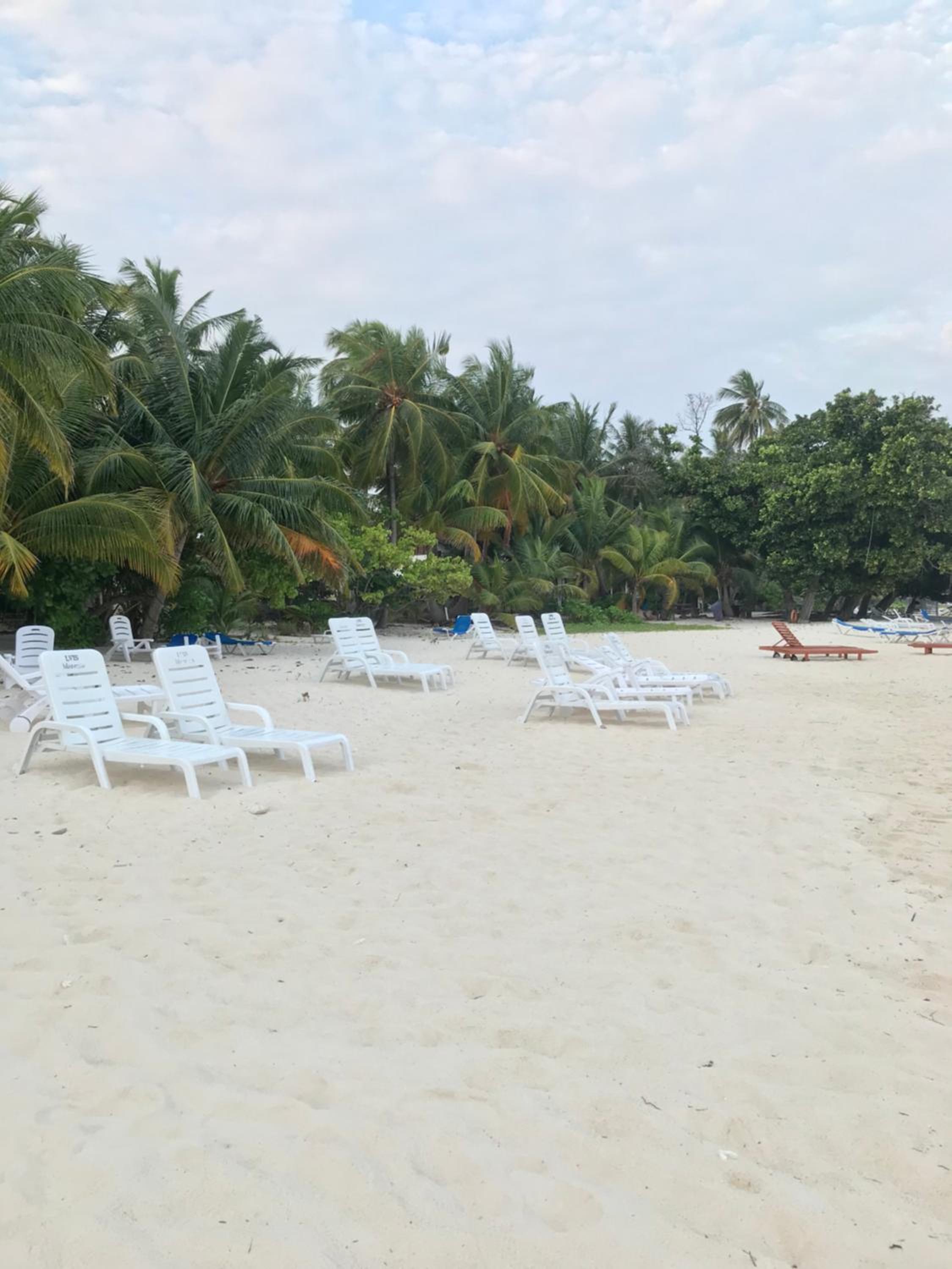 LVIS blancura Hotel