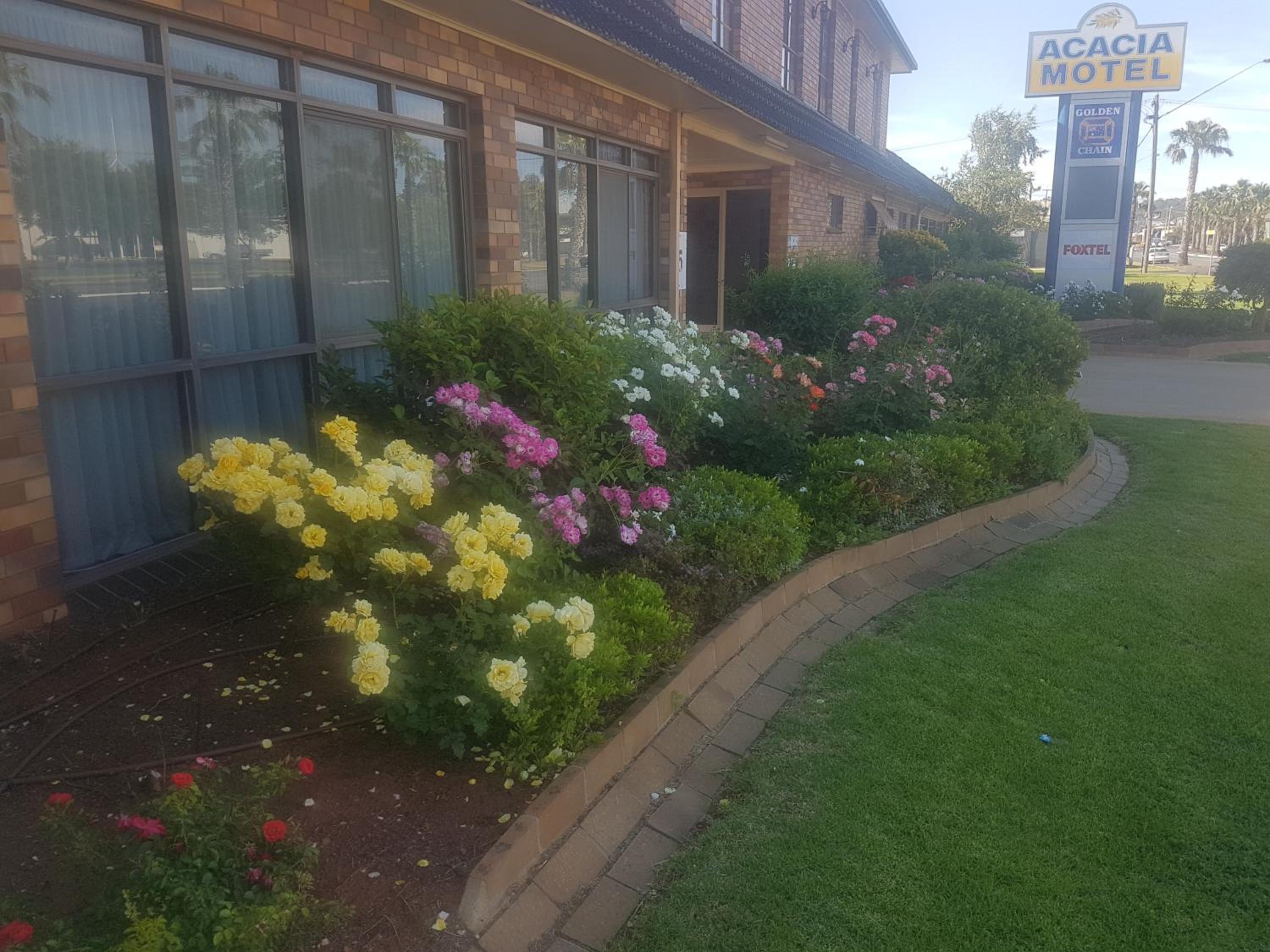 Acacia Motel