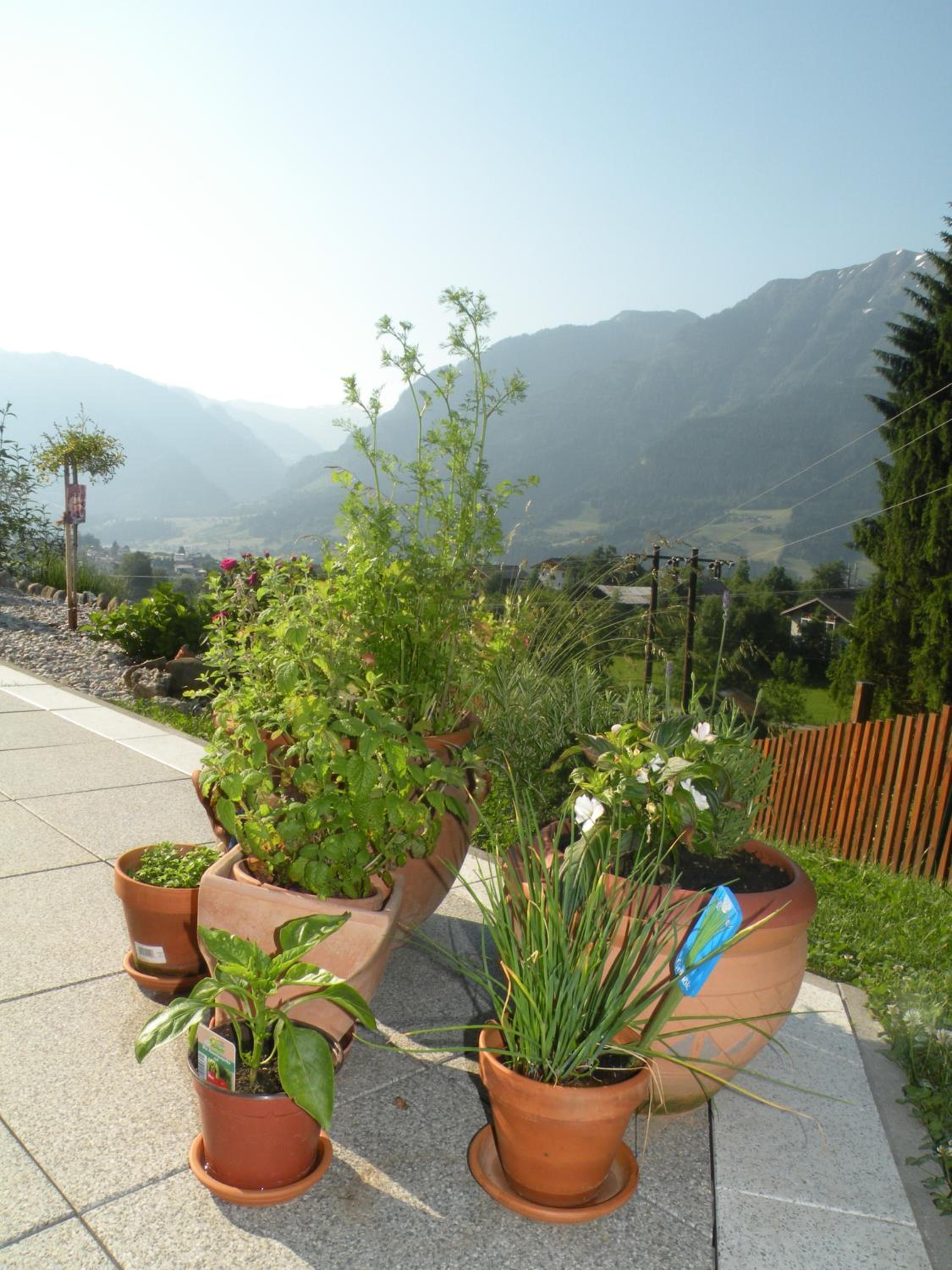 Birnbacher-appartement