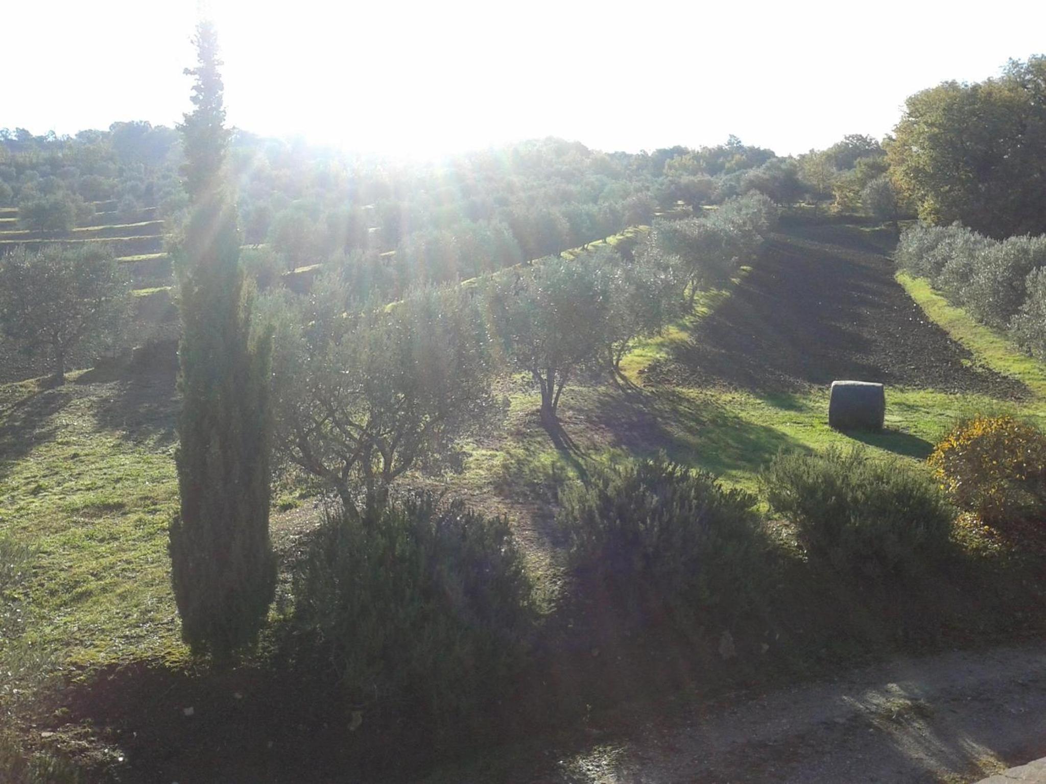Photo 46