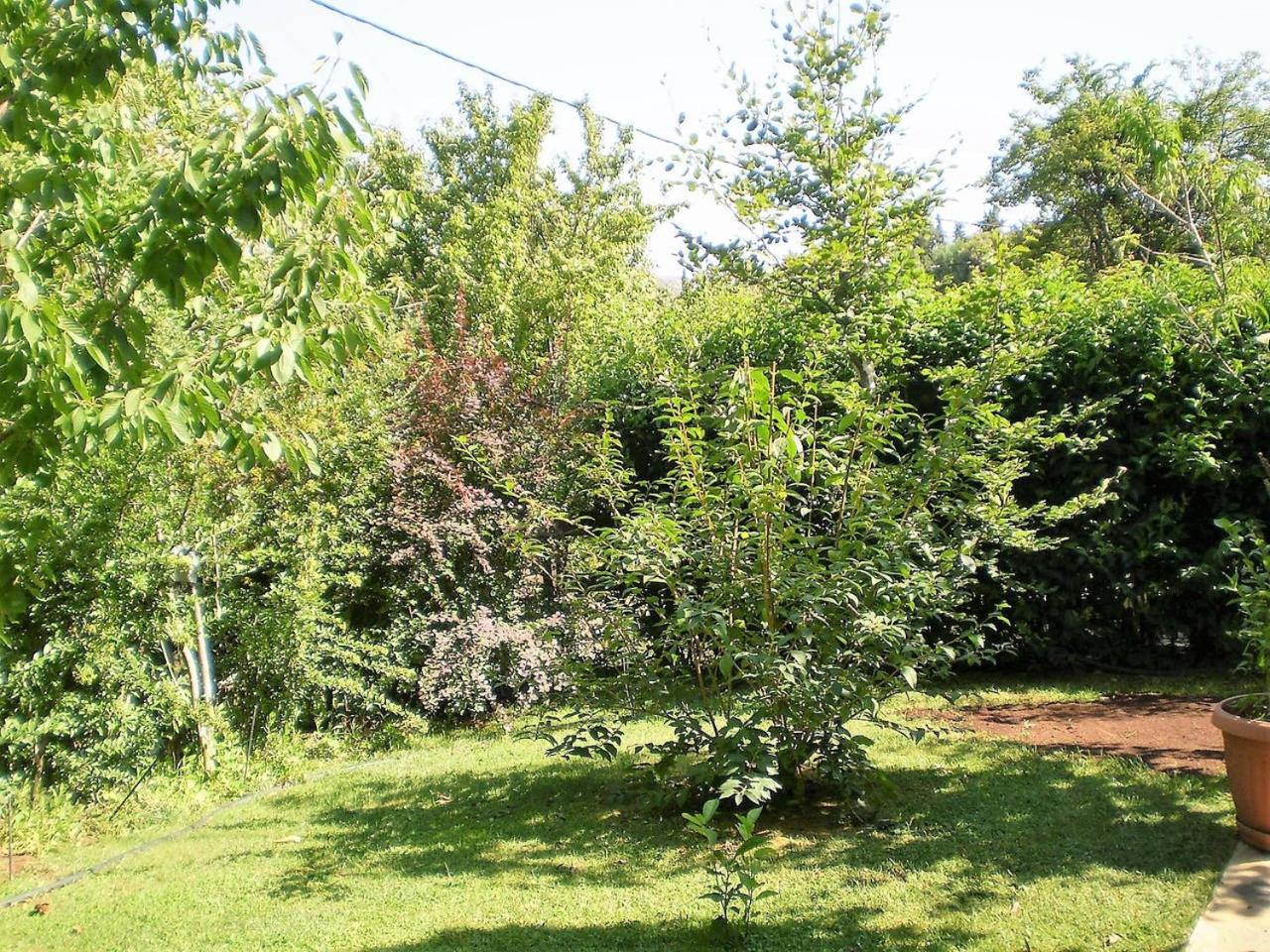 Photo 34