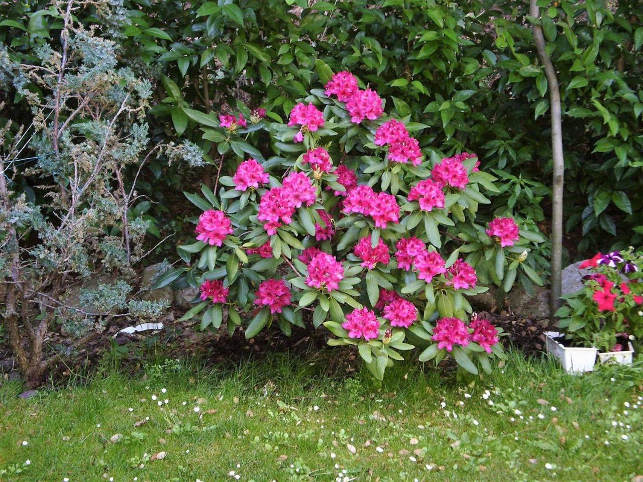 Photo 32