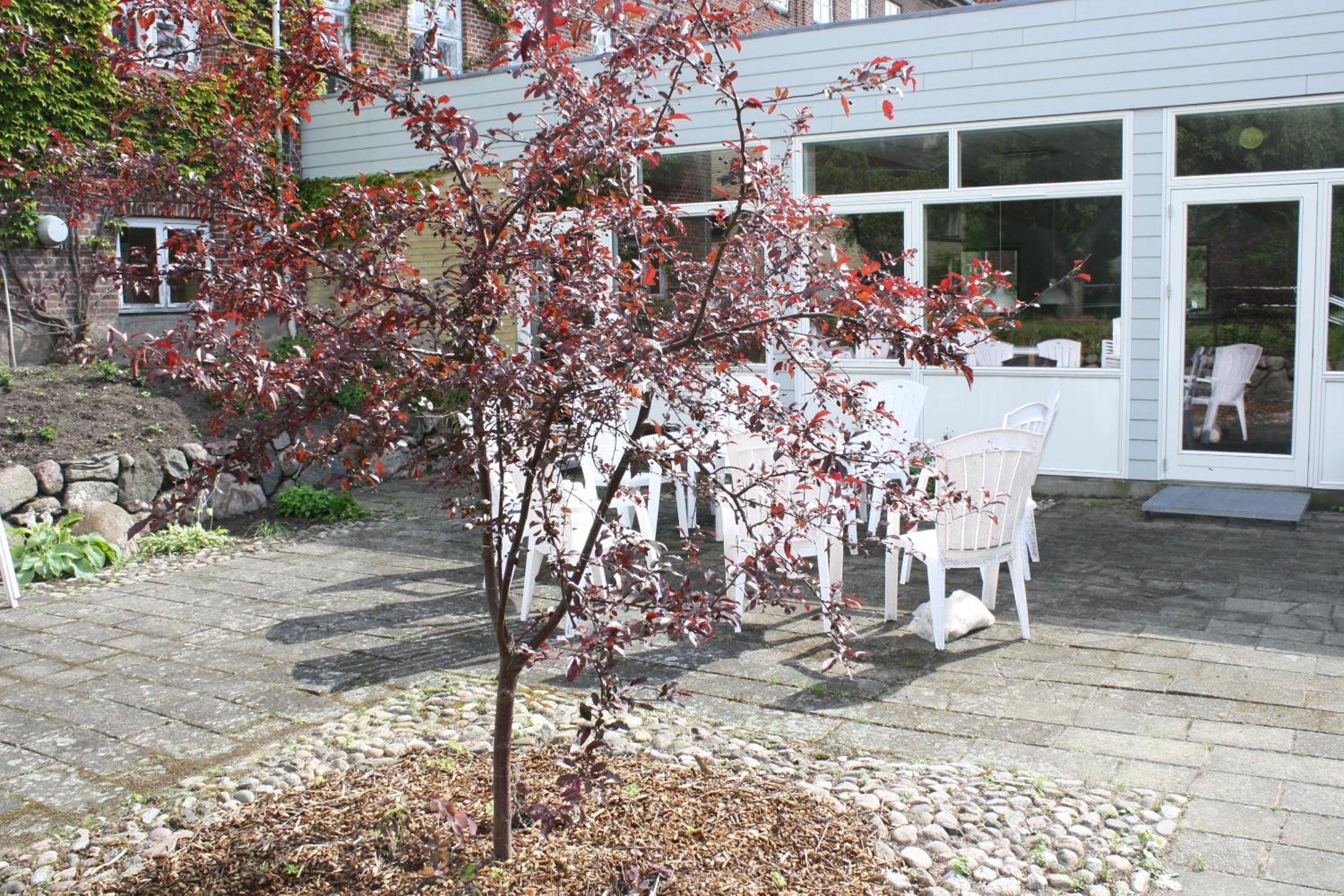 Photo 34