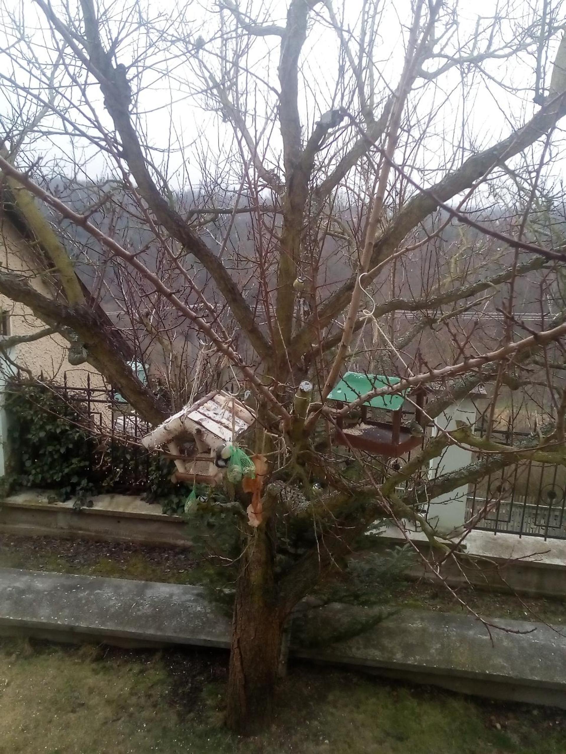 Villa Liduška s kavárnou
