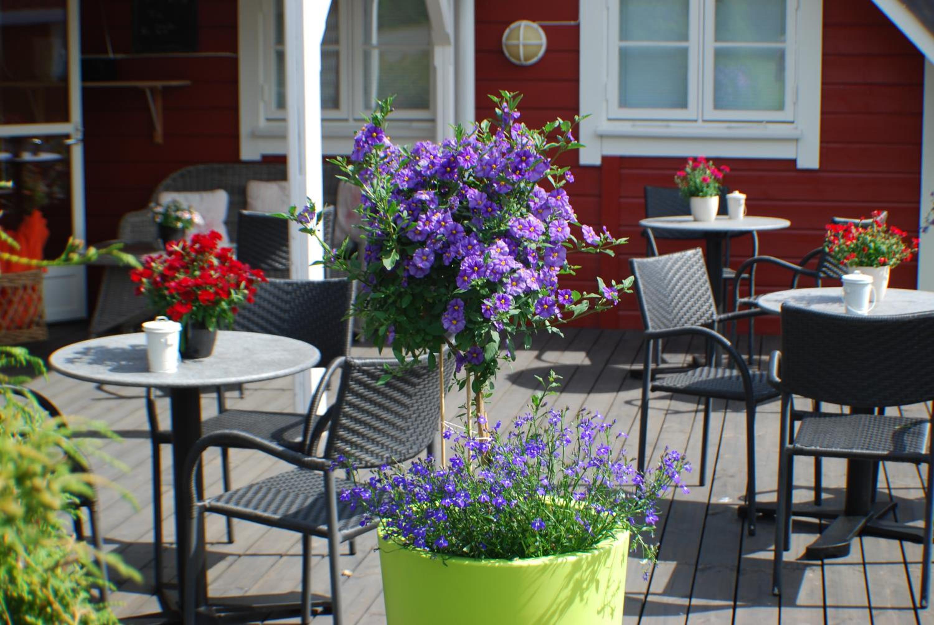 Topcamp Bie - Grimstad