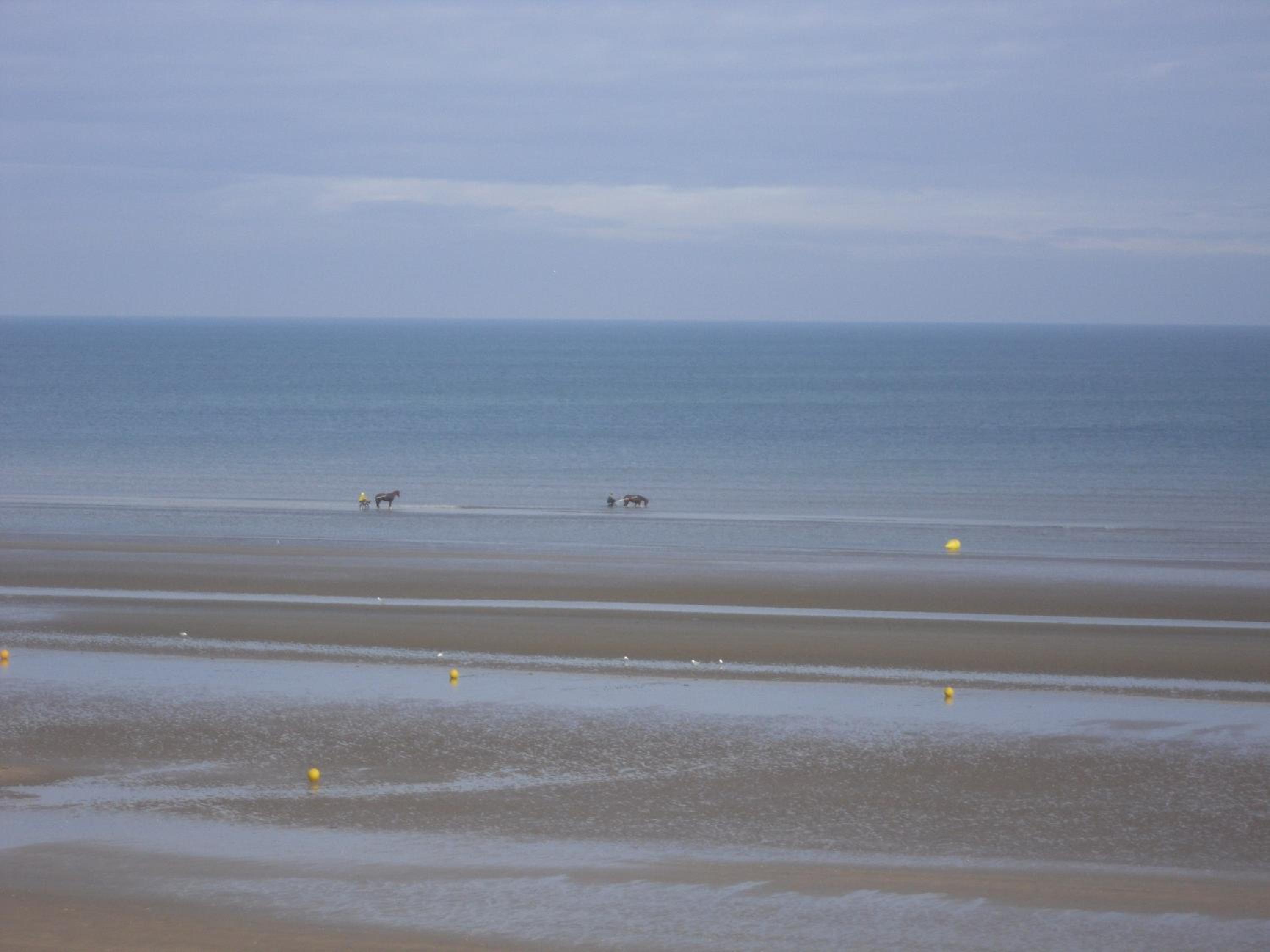 Cabourg Face A La Mer