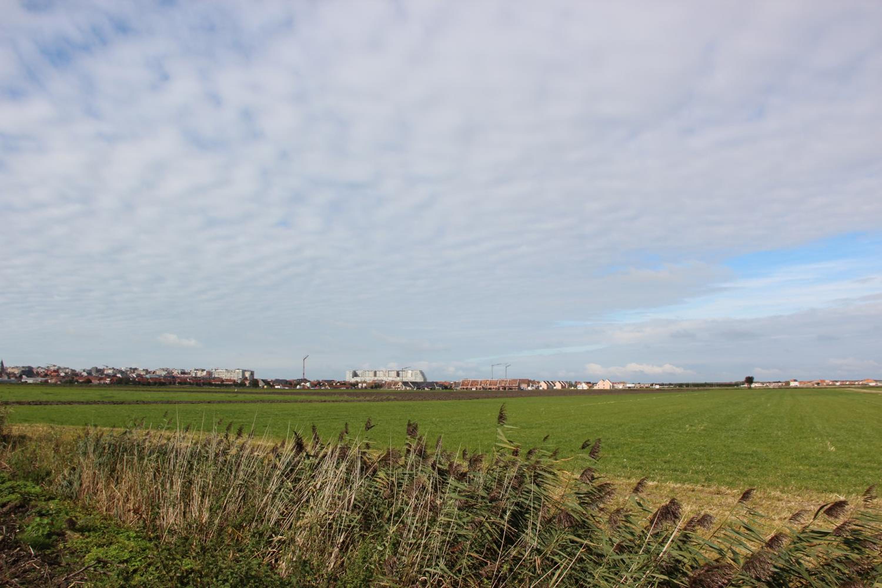 De Pastorie