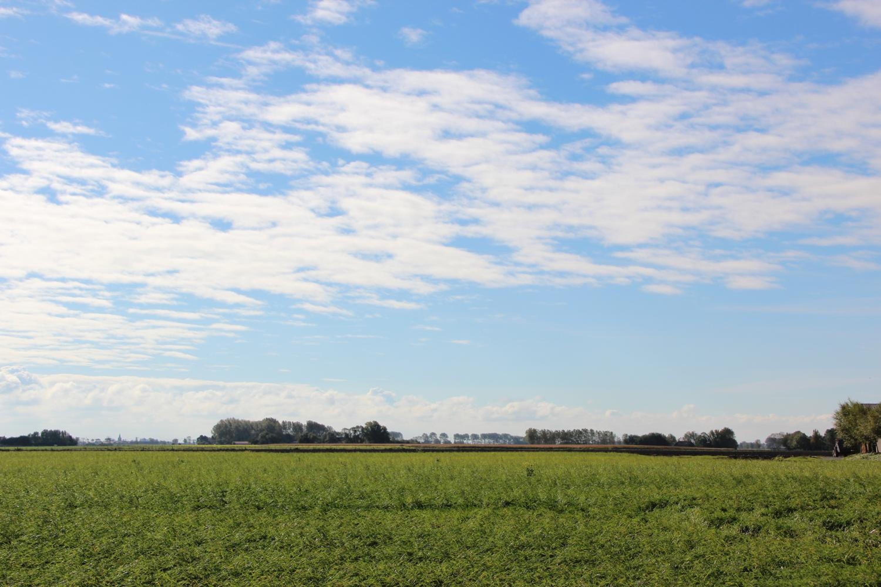 De Pastorie
