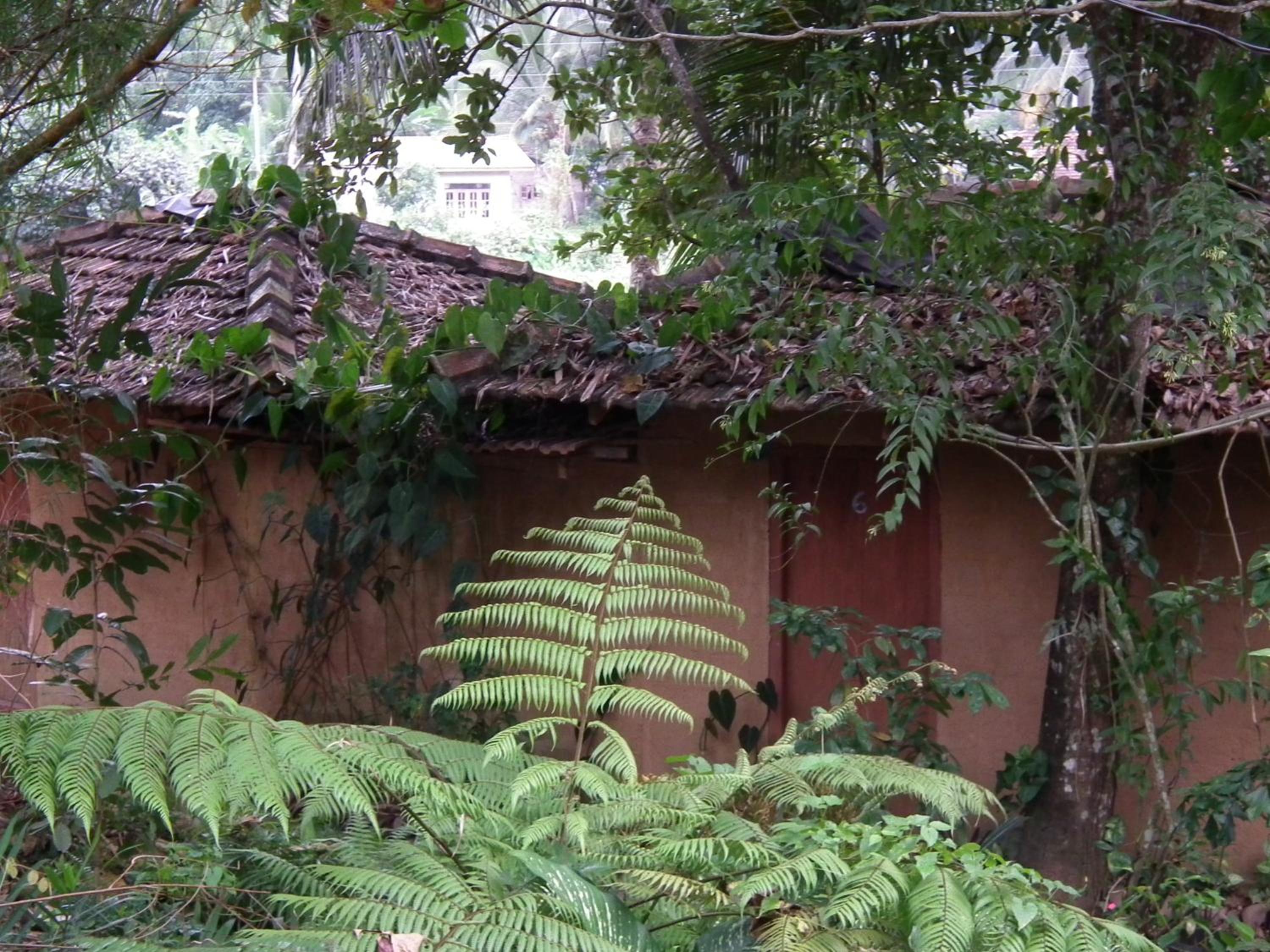Photo 47