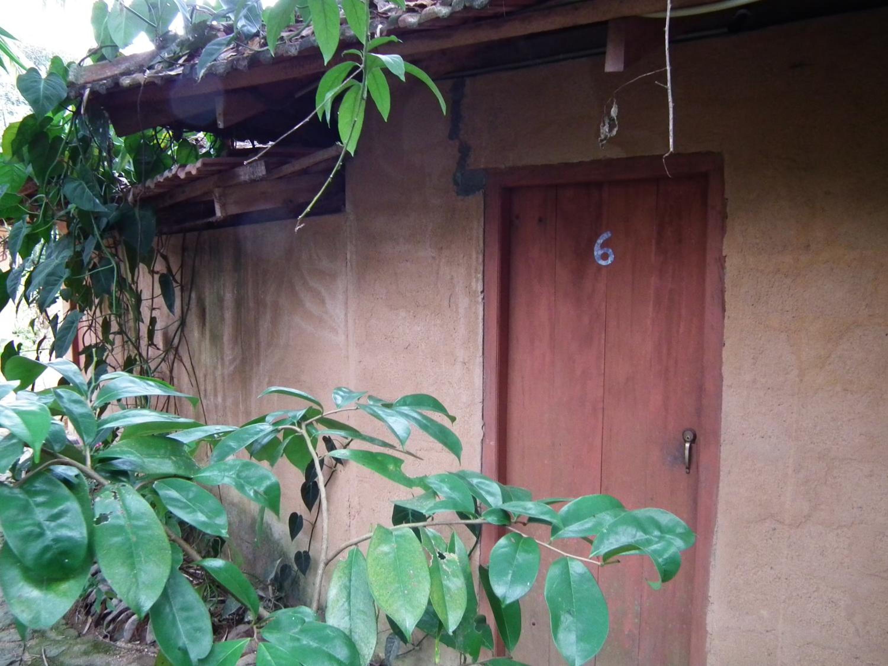Photo 48