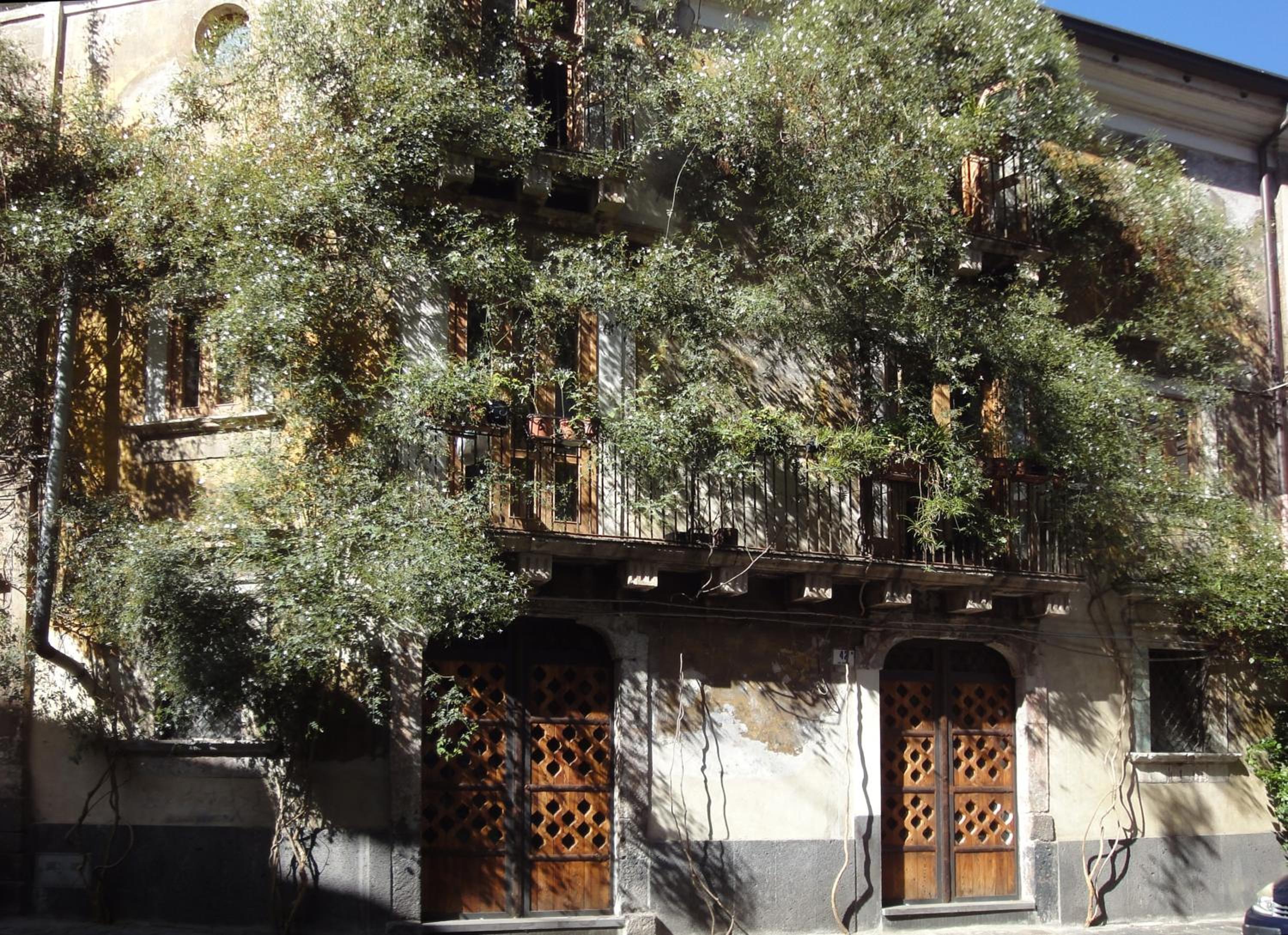 Palazzu Stidda Catania