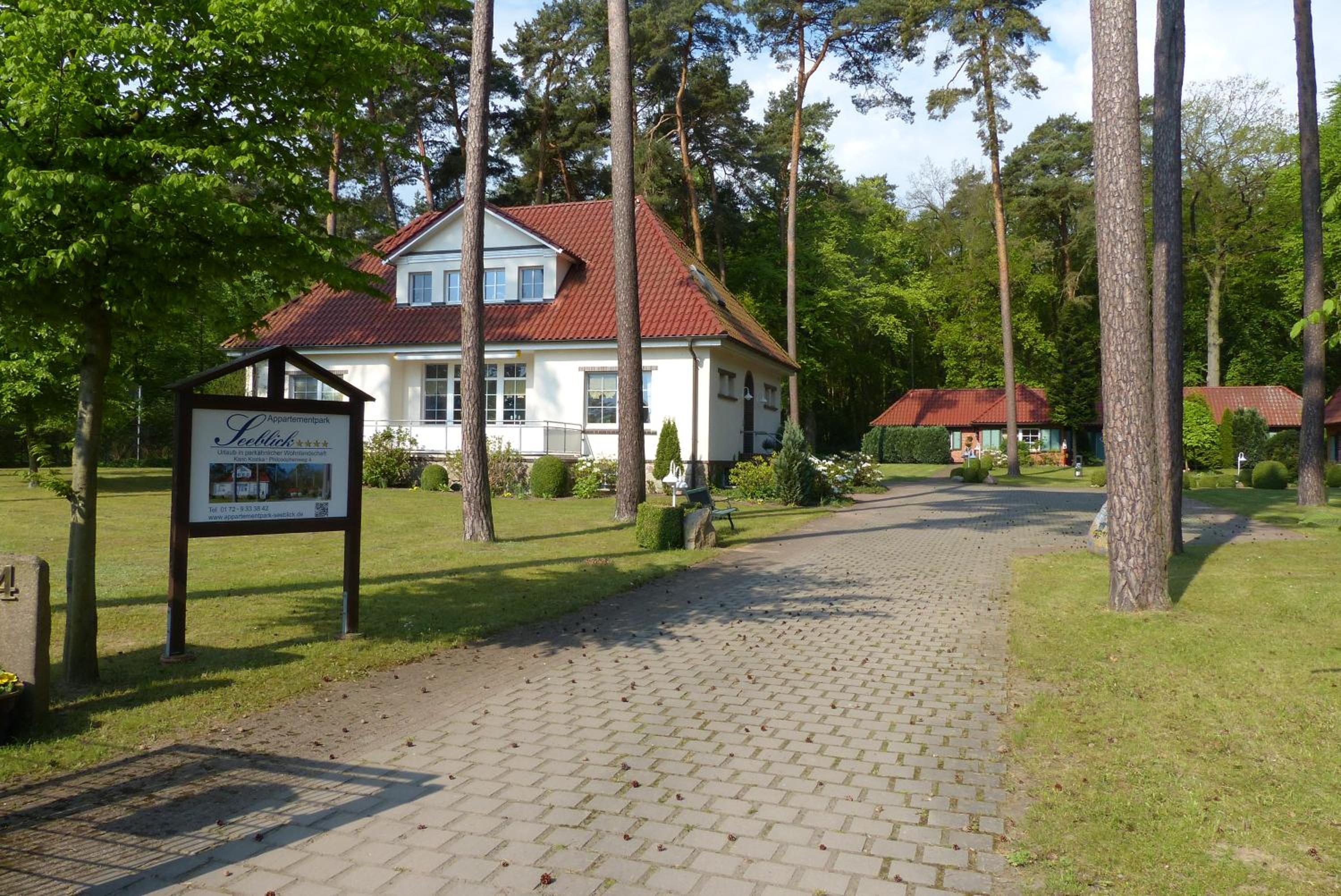 Photo 17