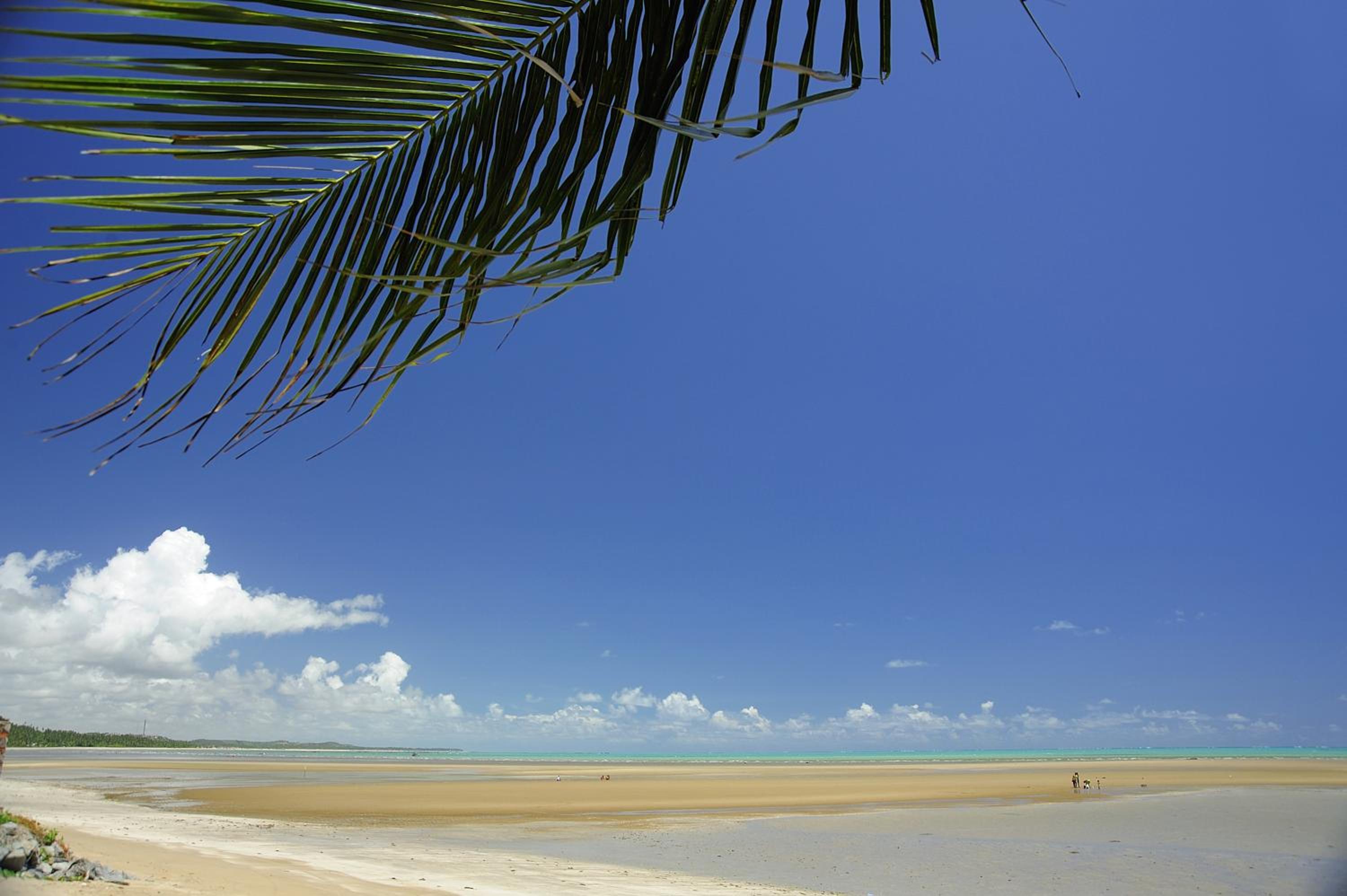 Maragogi Suítes