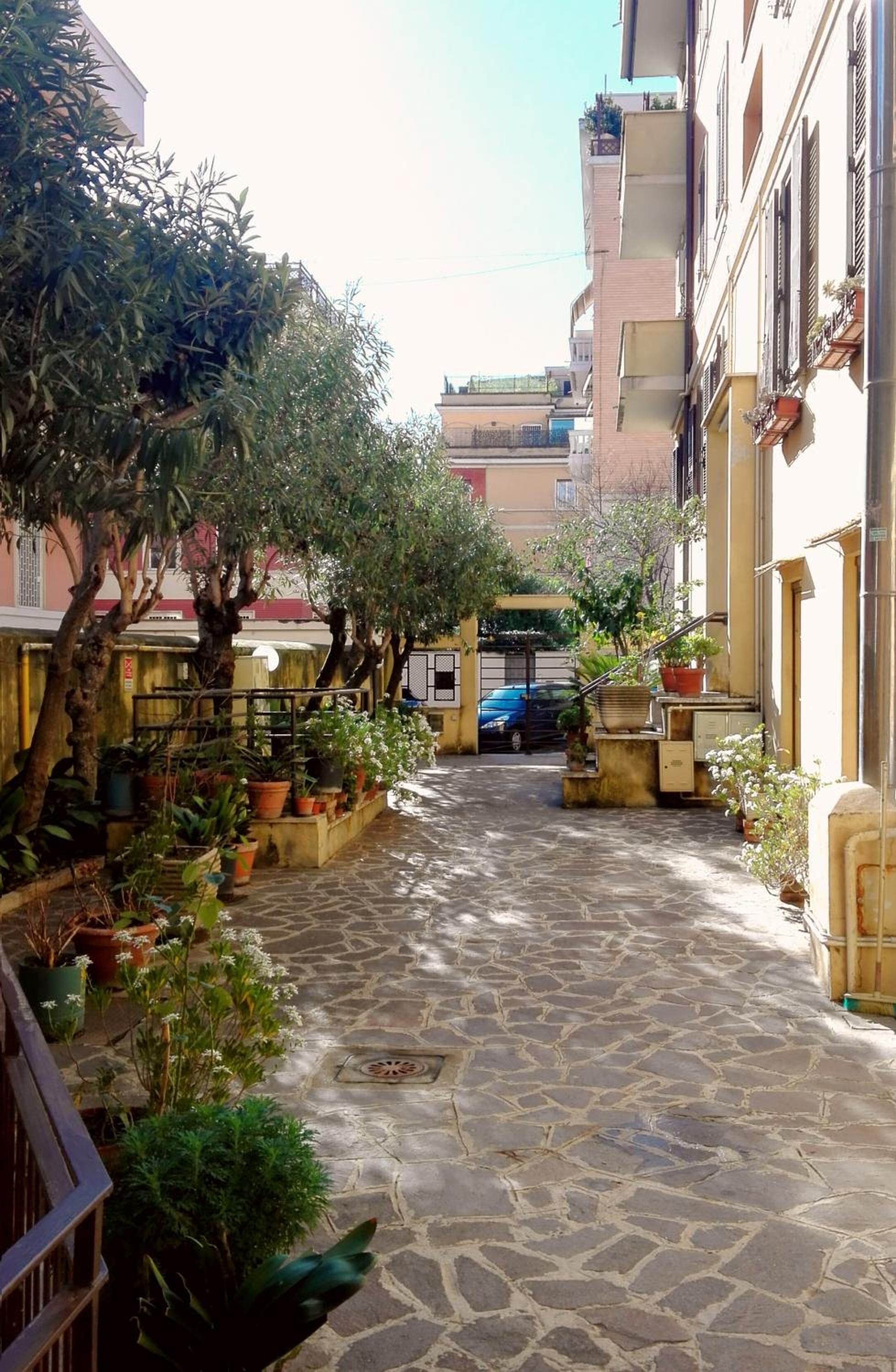 Alfieri home holiday