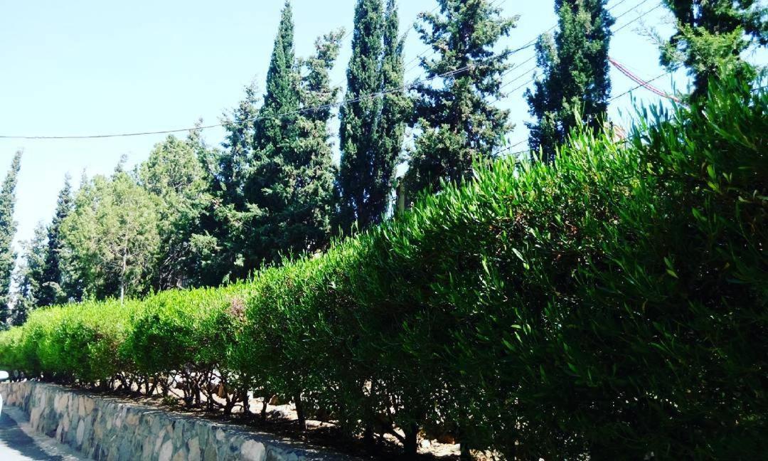 Sadeem Village & Chalet