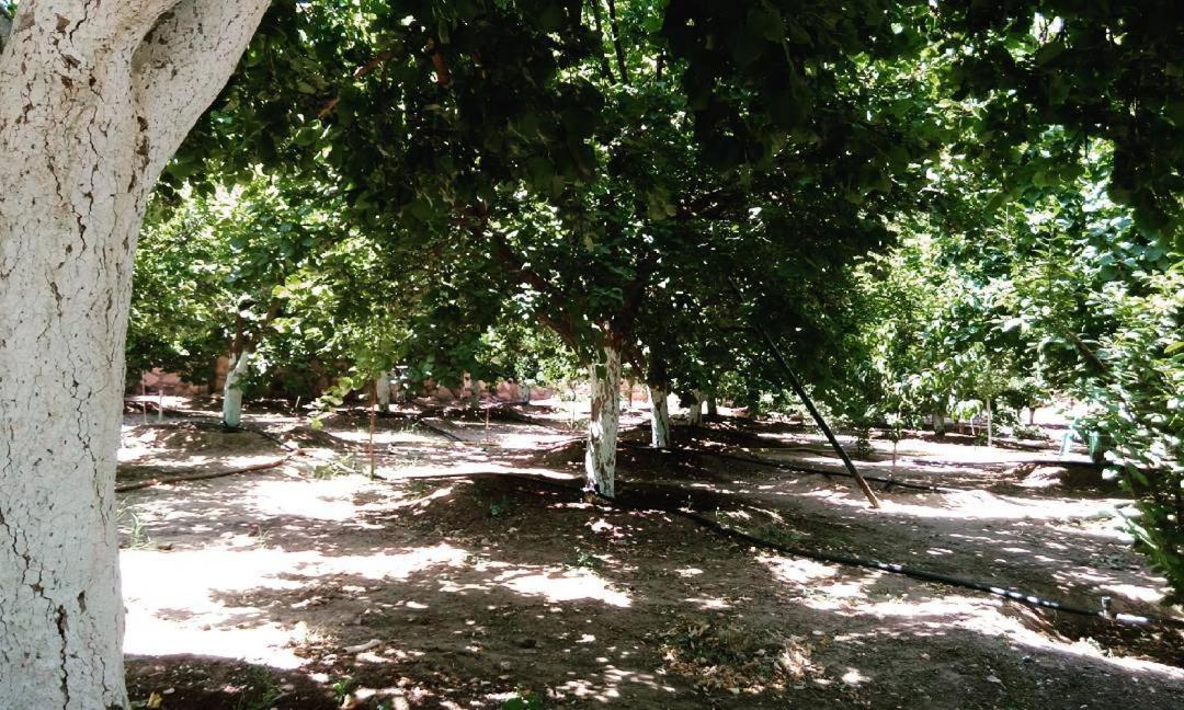 Sadeem Village & Chalet