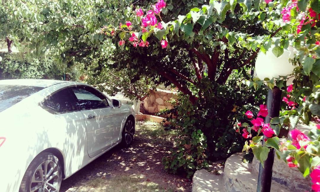 Sadeem Village & Chalet