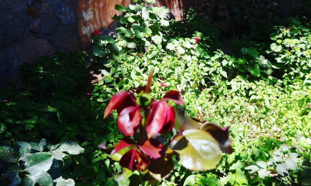 Sadeem Village & Chalet