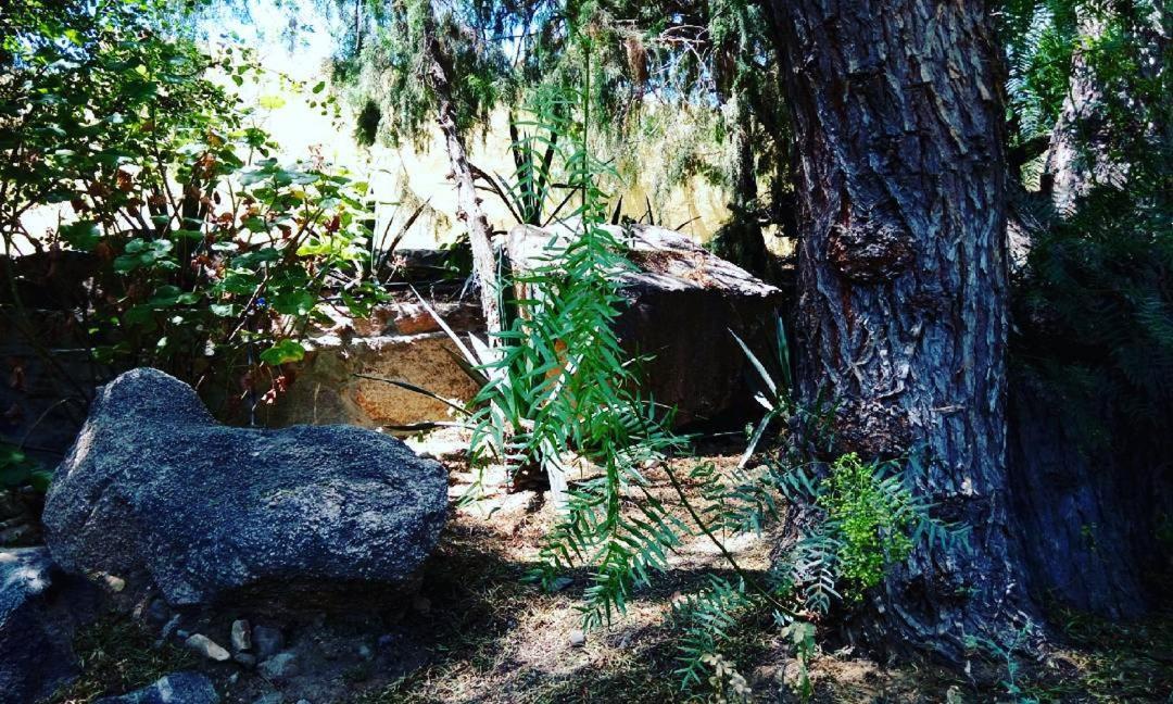 Sadeem Village & Chalet