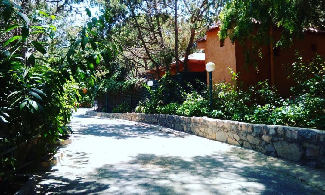 Sadeem Village & Chalet