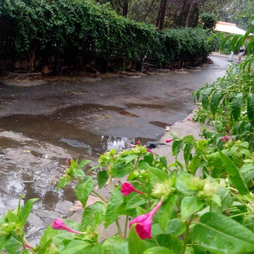 Sadeem Village & Chalet