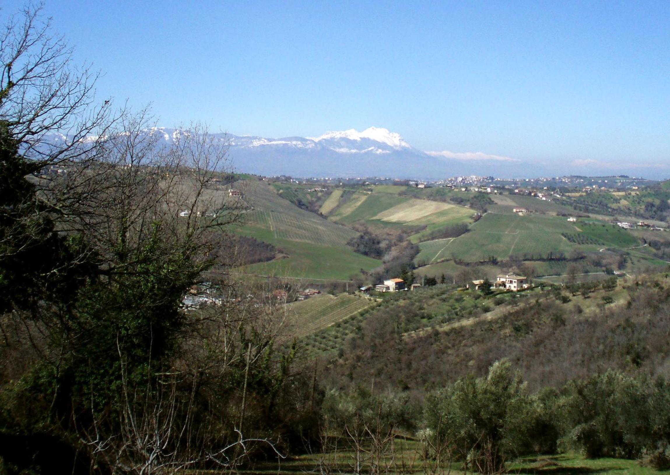 Photo 27