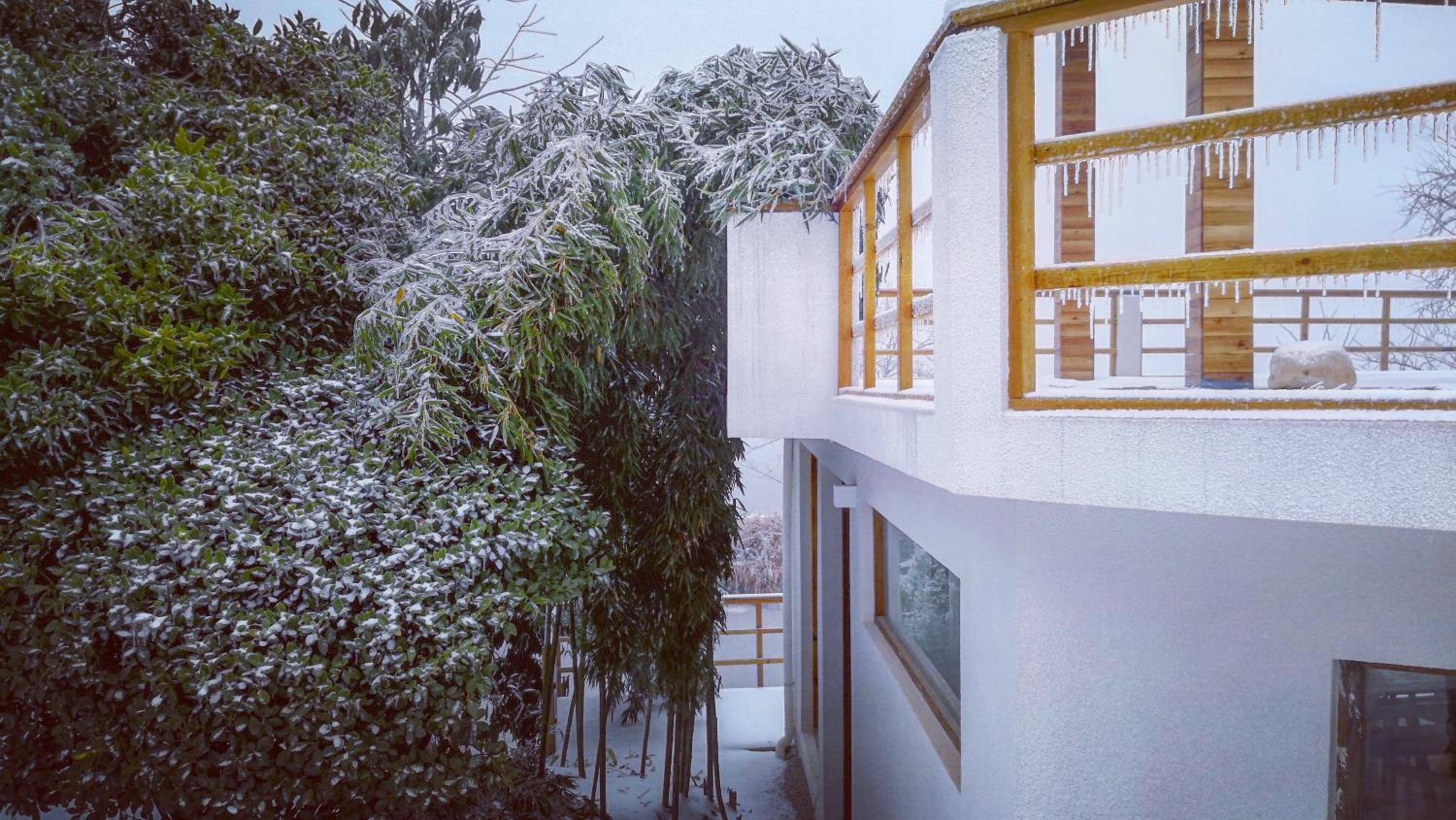 Zhangjiajie national park Purespace --2nights 1free pick-up&book tickets&5min to park