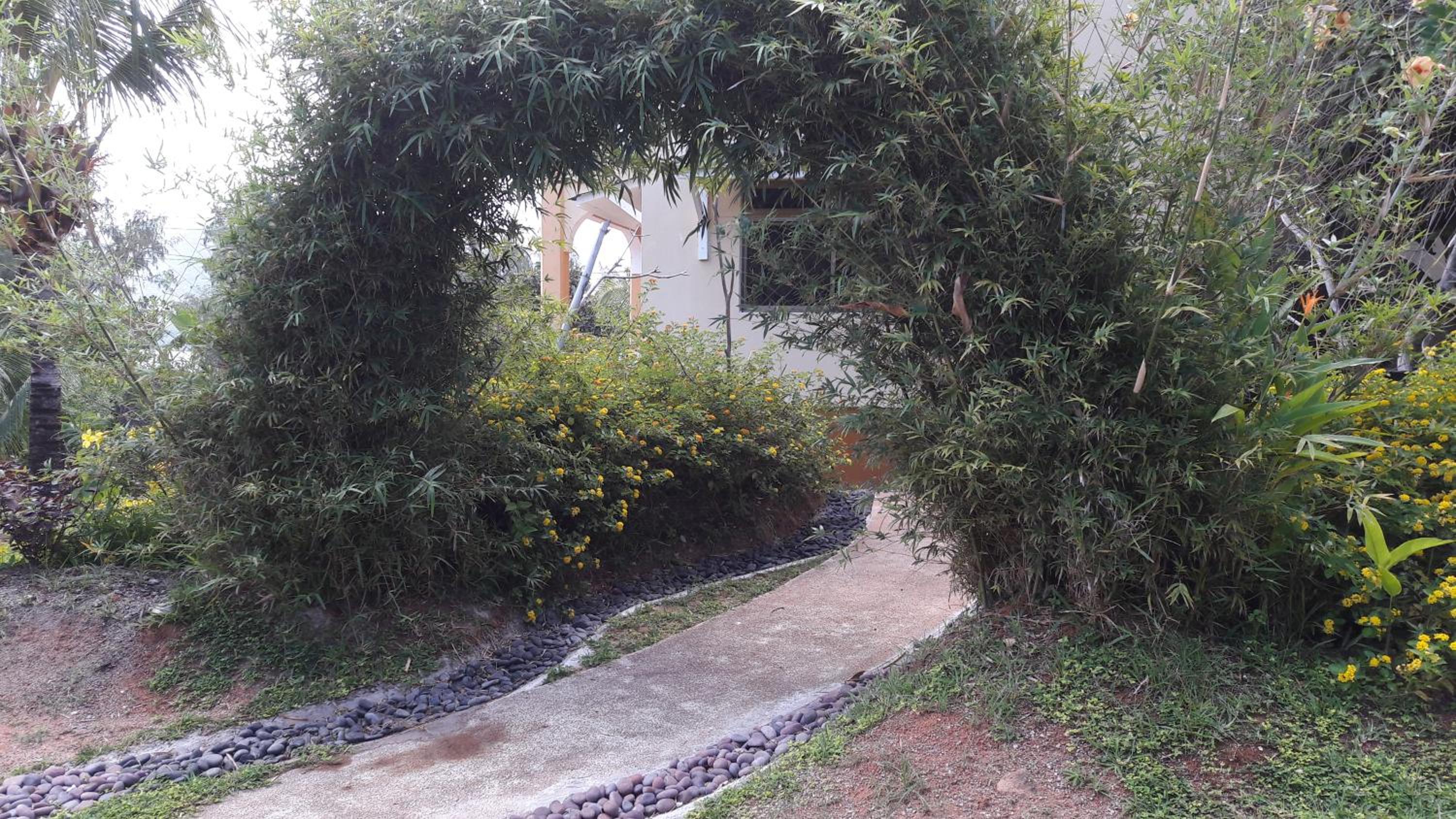 Photo 27