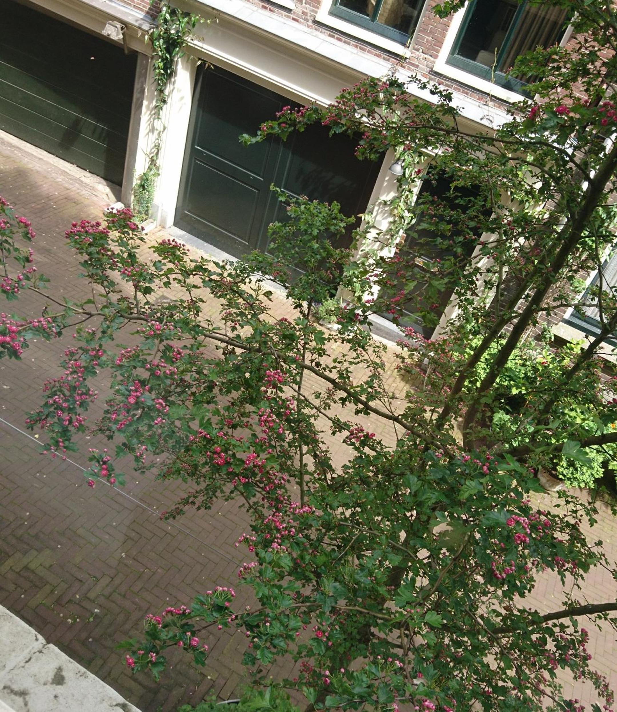 Huis Roomolen