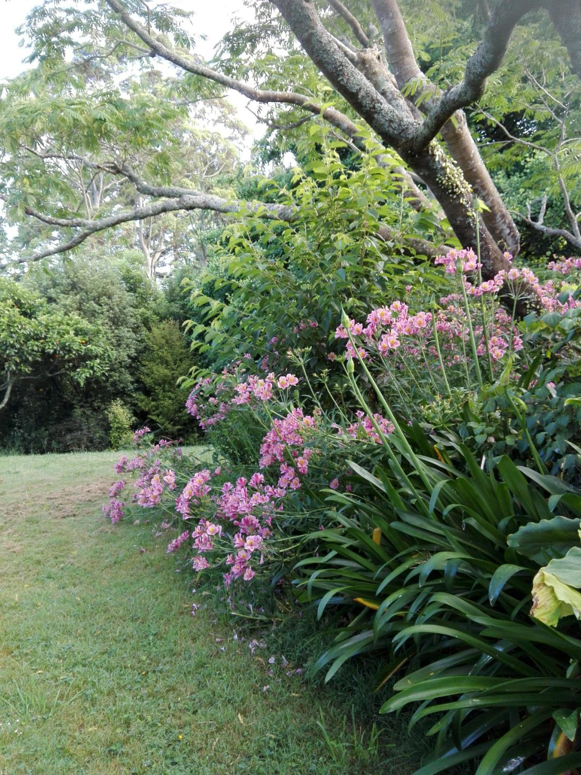 Purple Hen Country Lodge