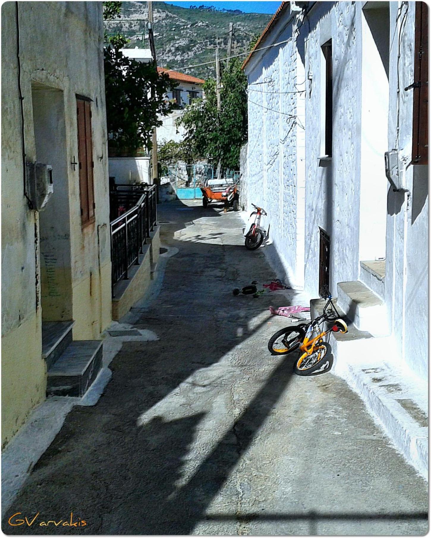 Photo 51